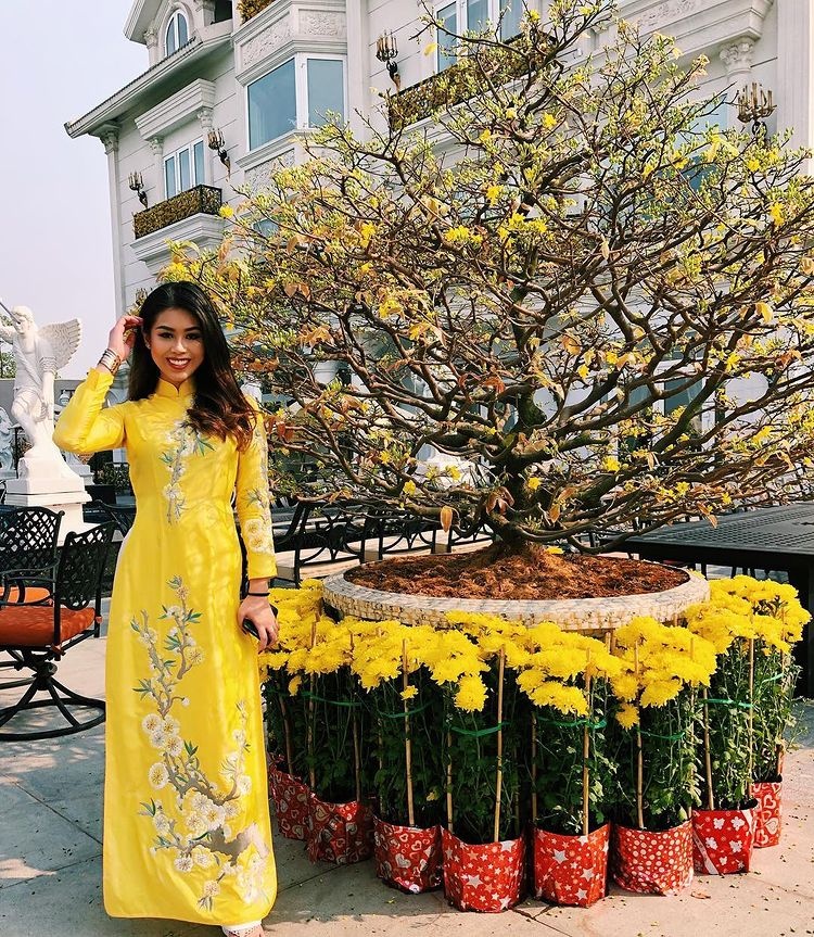 Tien Nguyen dien do truyen thong dip Tet anh 9