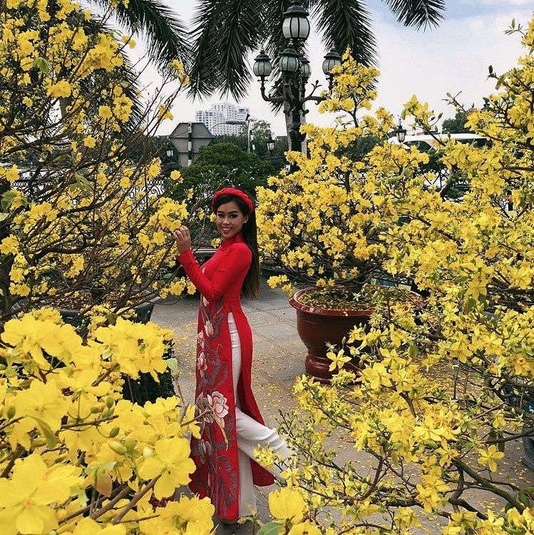 Tien Nguyen dien do truyen thong dip Tet anh 6