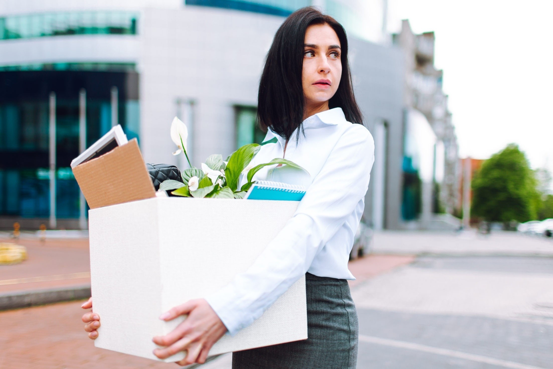 ‘Toi lao dao vi dot ngot mat viec luong cao’ hinh anh