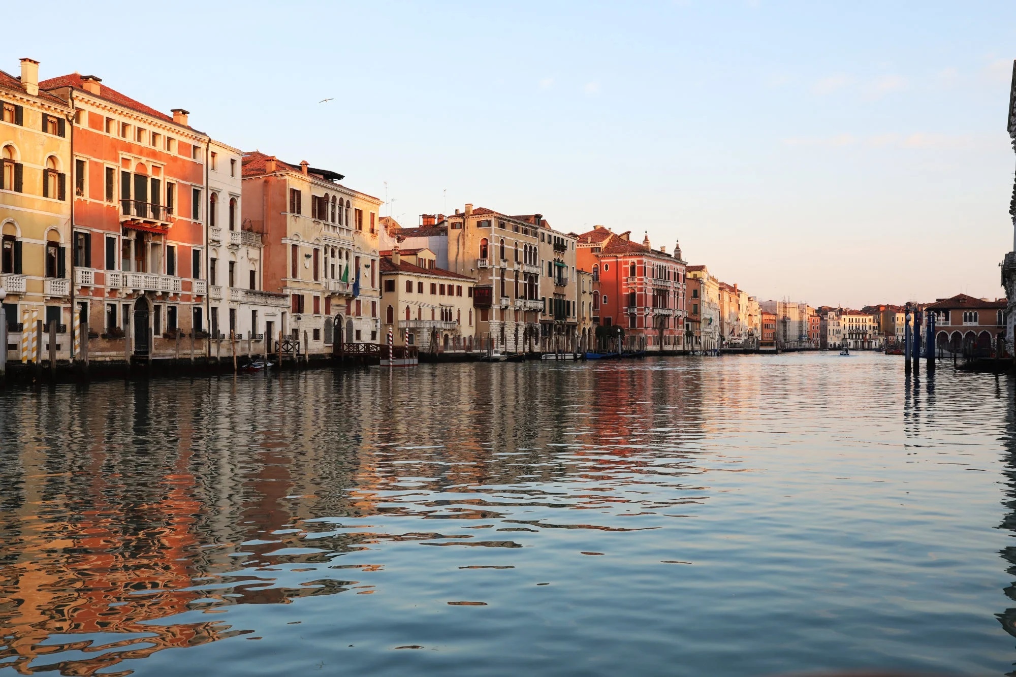 Venice như thành phố chết vì dịch ảnh 3 Venice nhu thanh pho chet vi dich anh 3