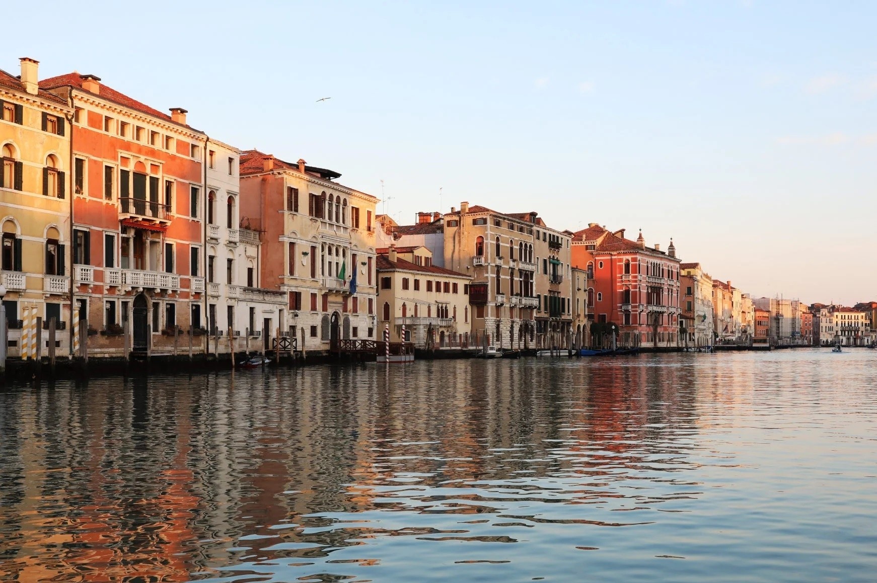 ‘Venice bay gio nhu mot thanh pho chet’ hinh anh