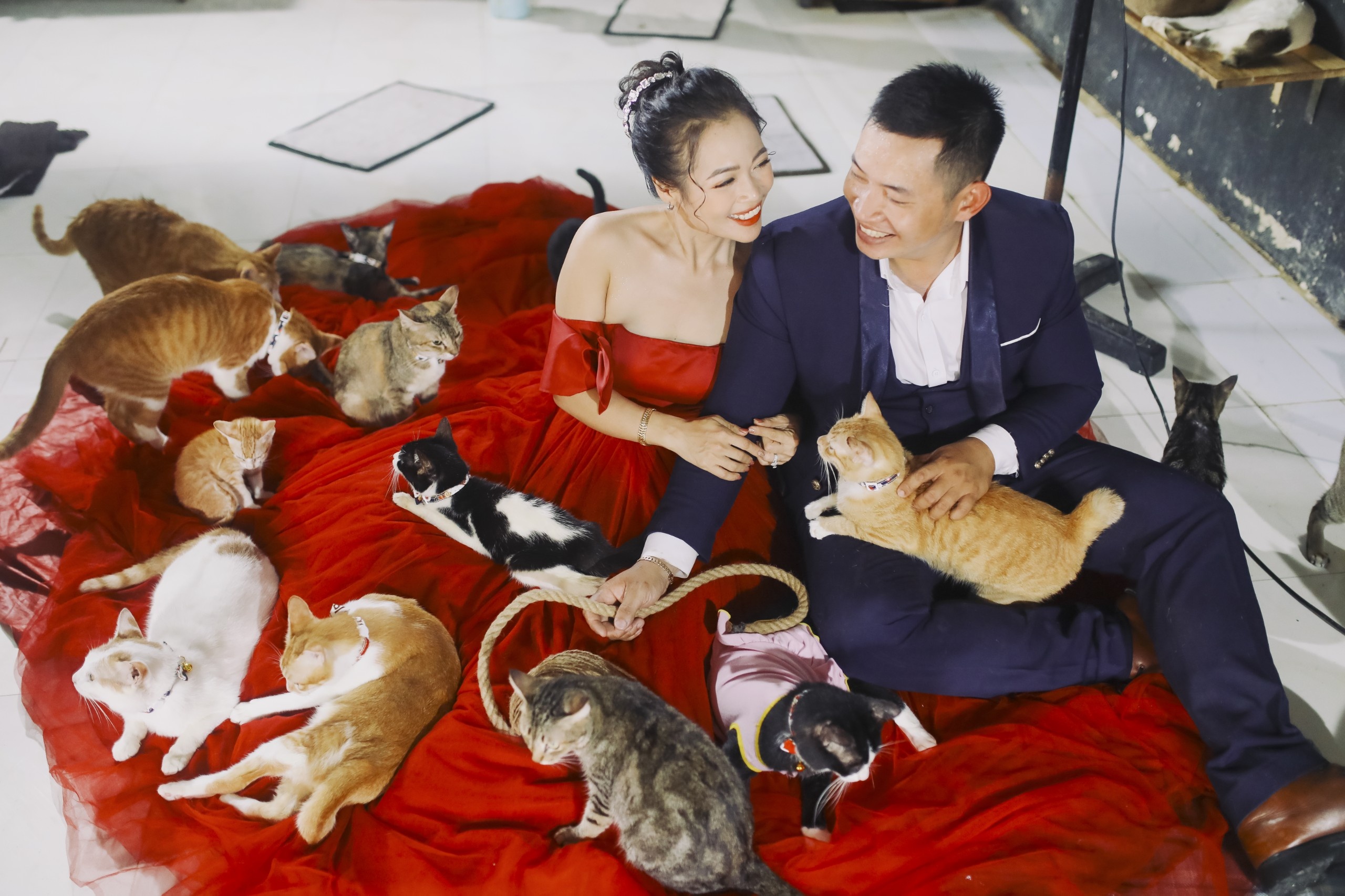 Chup anh cuoi voi hon thu cung anh 1