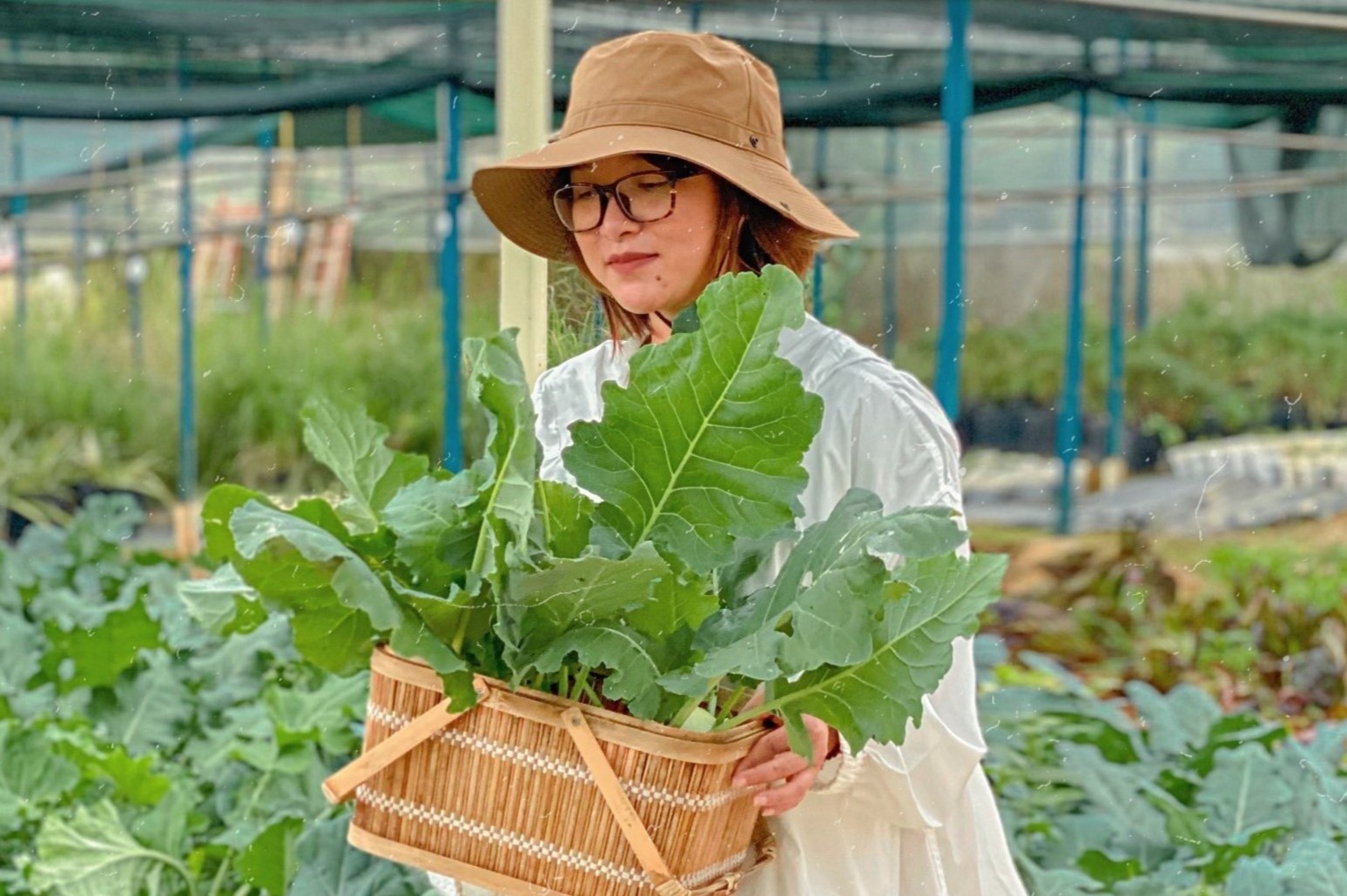 Gia dinh 10 nguoi roi TP.HCM len Da Lat, thue doi troc mo trang trai hinh anh