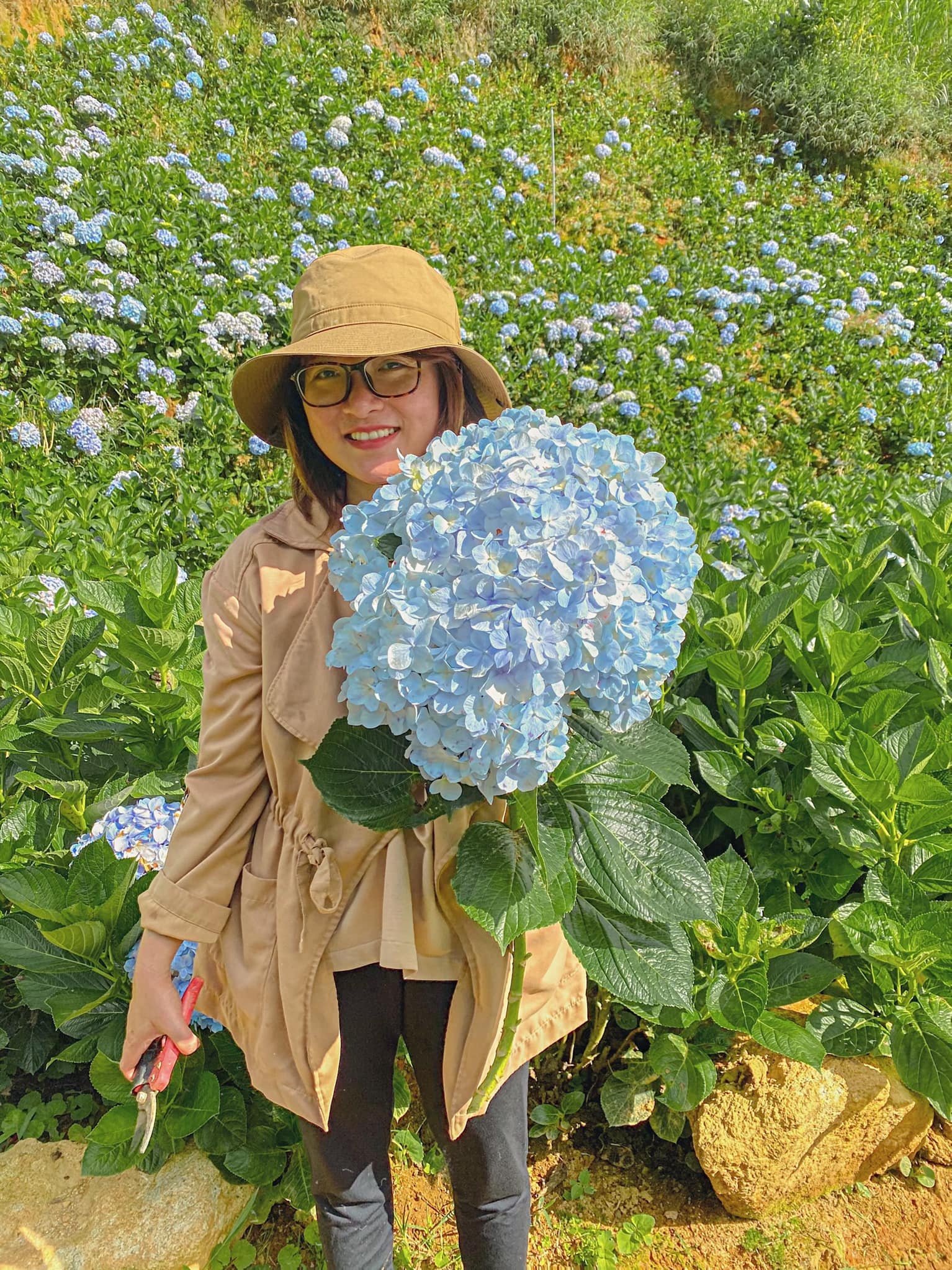 Bỏ phố về quê ảnh 1 Bo pho ve que anh 1