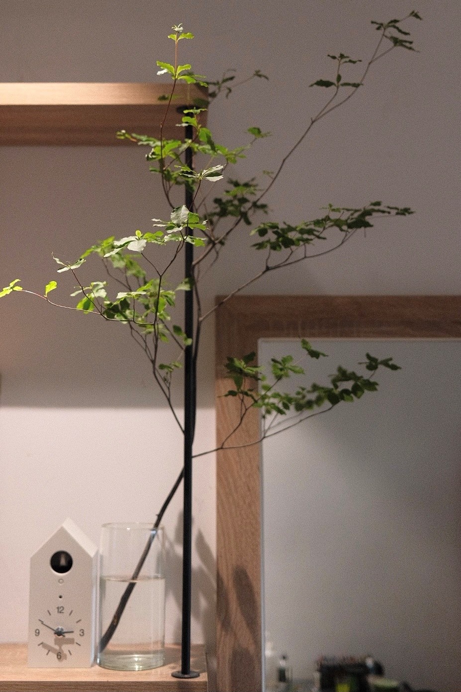 Mua nha sau 10 nam o TP.HCM anh 8