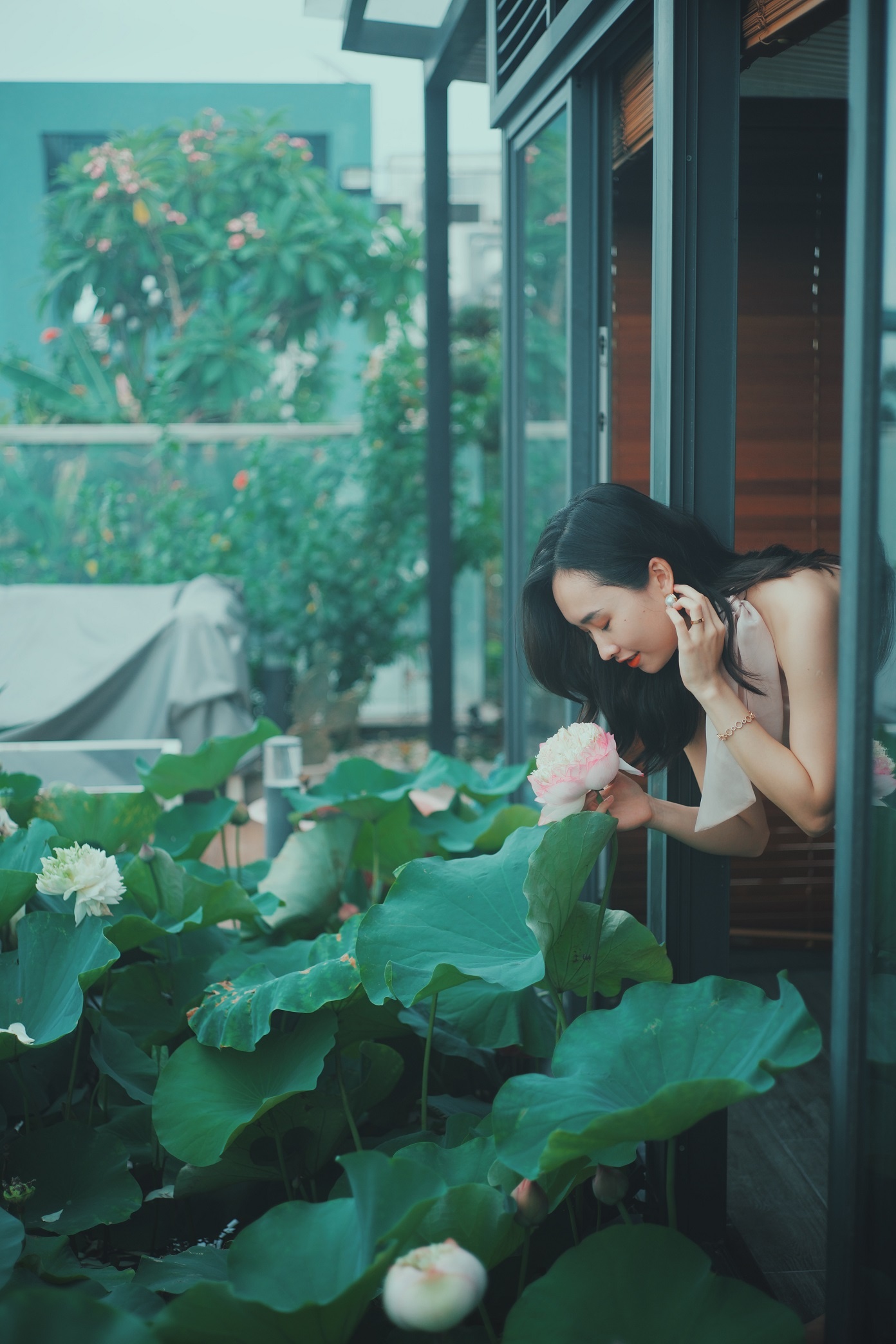 Ho sen trong can penthouse cua a khoi DH Kinh te Quoc dan anh 3