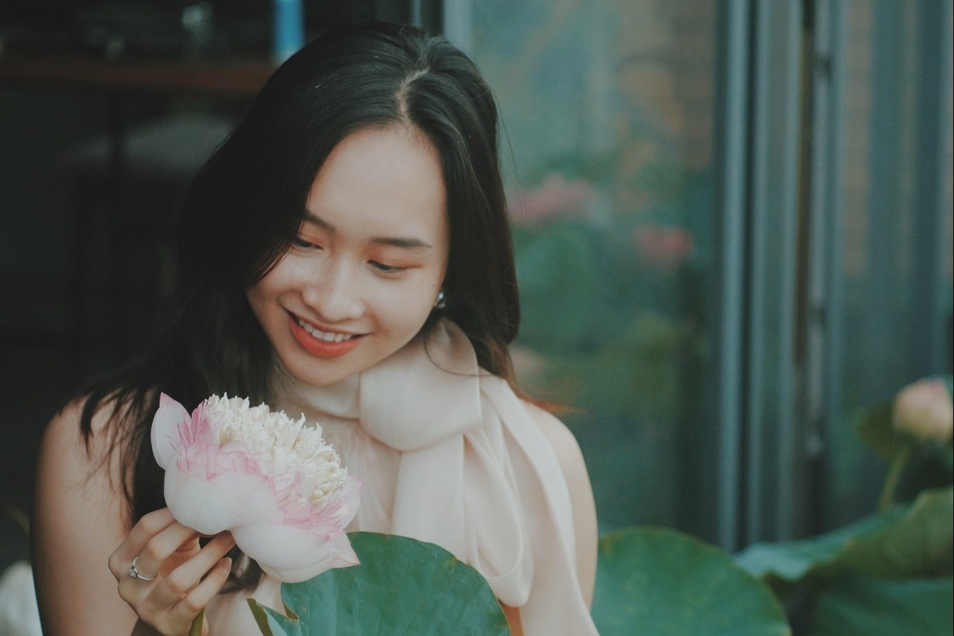 Ho sen trong can penthouse cua a khoi DH Kinh te Quoc dan hinh anh