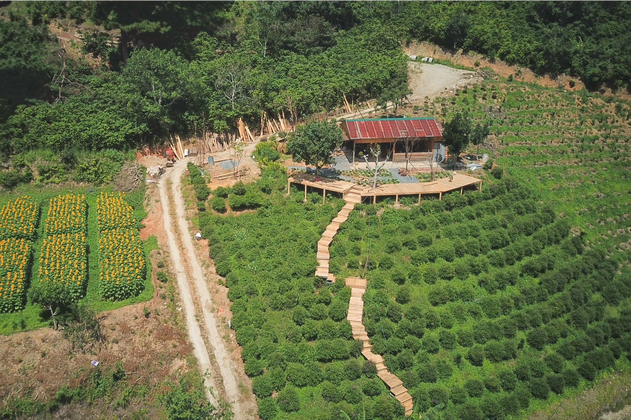 Bo TP.HCM len Da Lat lap nghiep anh 6