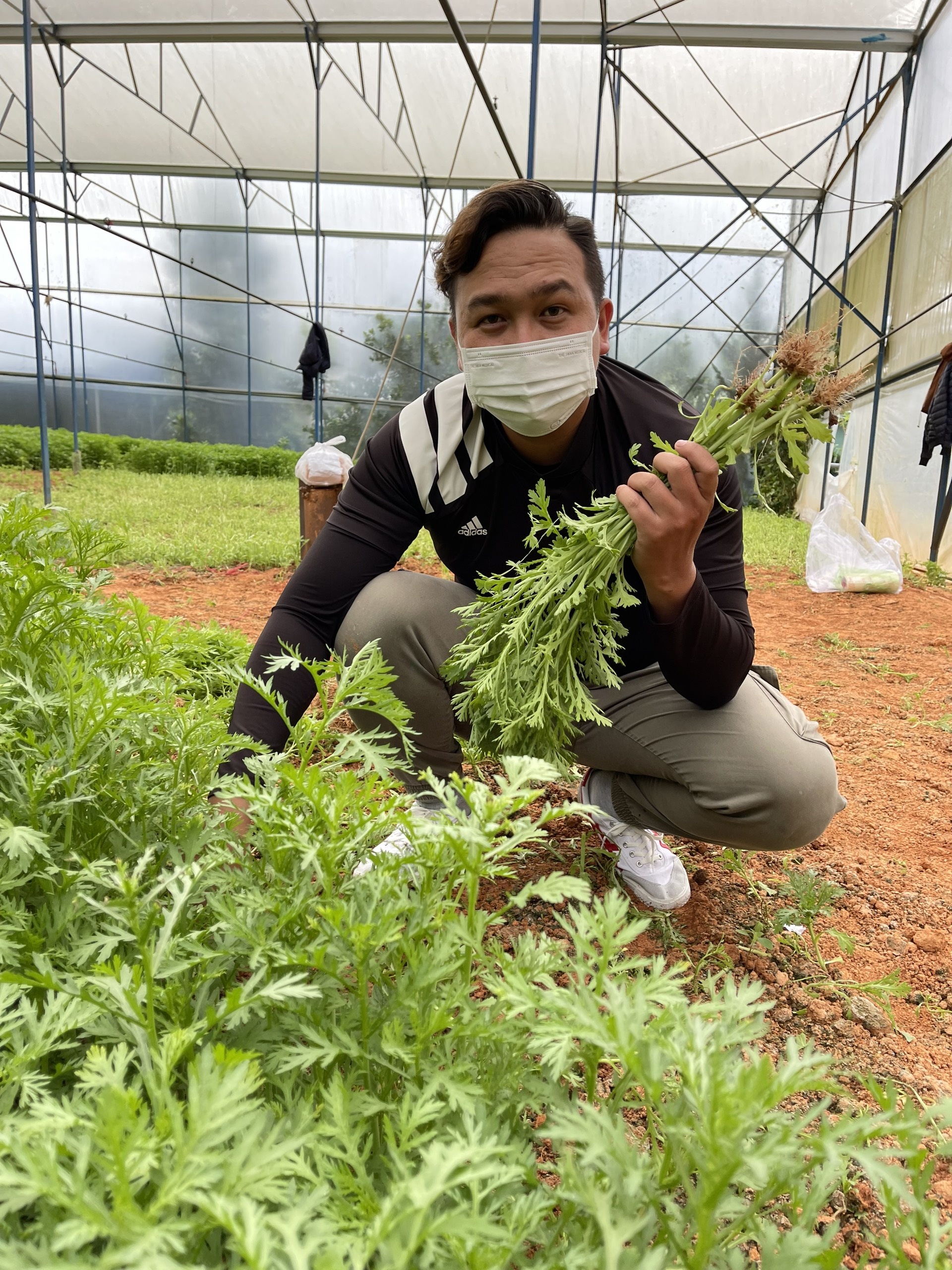 Nhiều bạn trẻ Đà Lạt gom rau sạch gửi tặng người dân TP.HCM ảnh 3 Nhieu ban tre Da Lat gom rau sach gui tang nguoi dan TP.HCM anh 3
