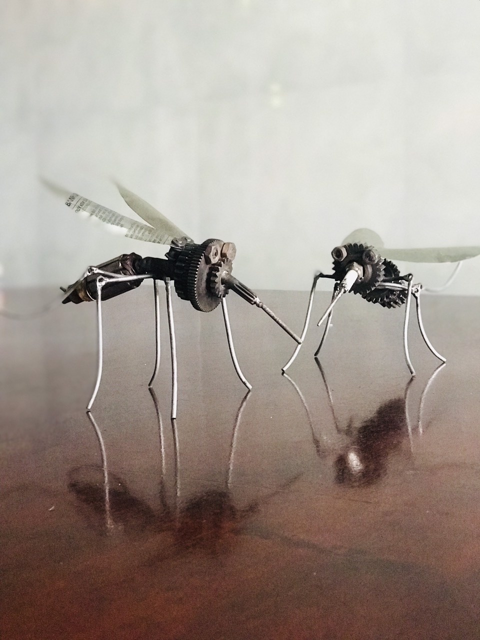 Bỏ việc lương cao để khởi nghiệp với linh kiện ôtô xe máy ảnh 4 Bo viec luong cao de khoi nghiep voi linh kien oto xe may anh 4