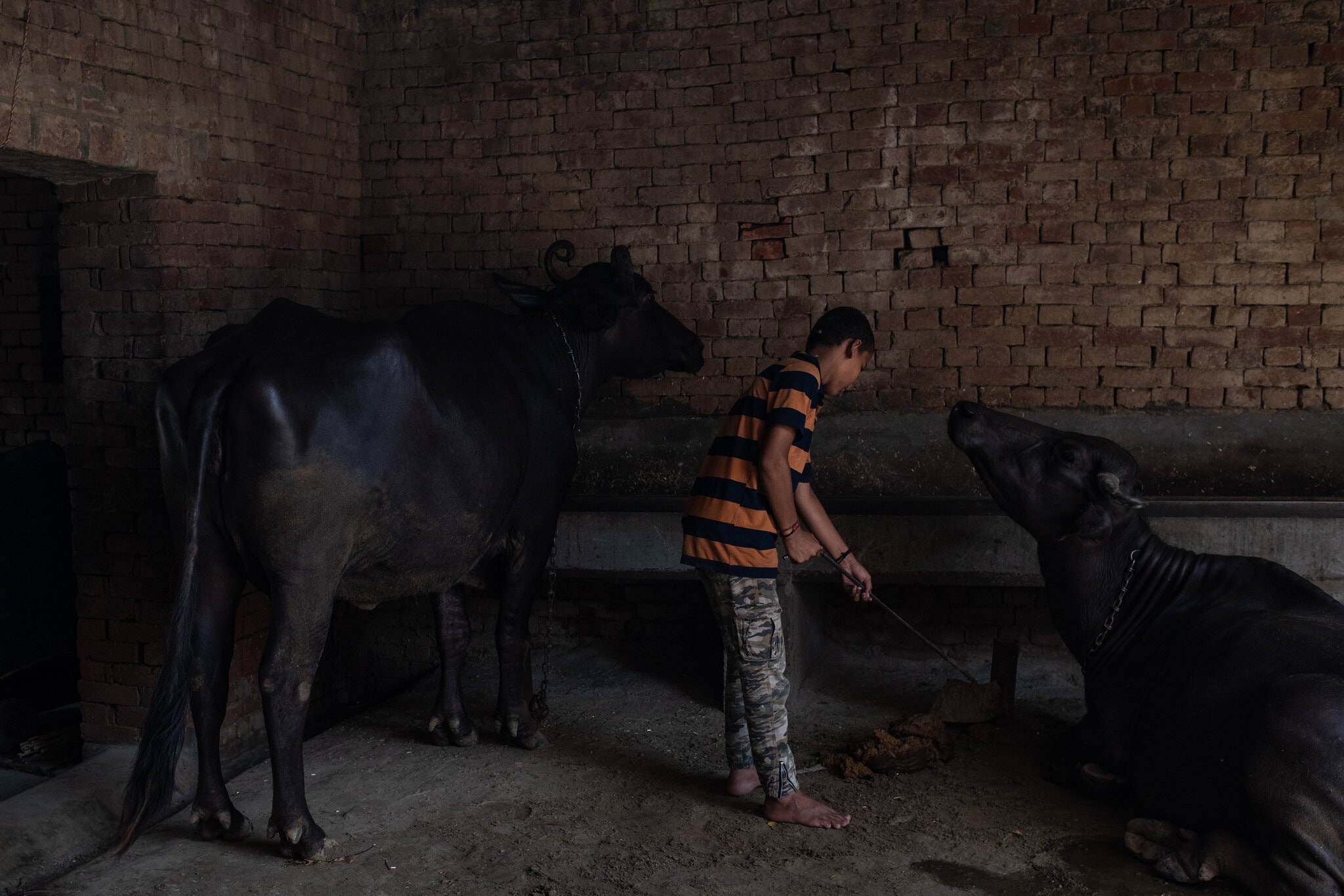 tre mo coi An Do trong dich Covid-19 anh 5