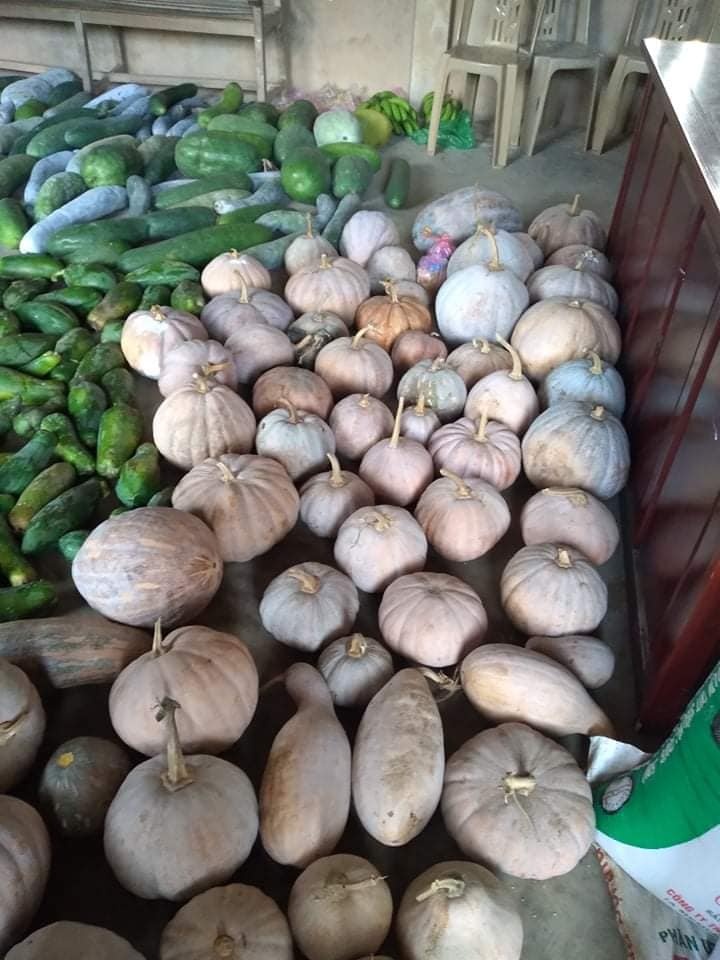 Người dân Quảng Bình gom rau củ gửi tặng bà con TP.HCM ảnh 1 Nguoi dan Quang Binh gom rau cu gui tang ba con TP.HCM anh 1