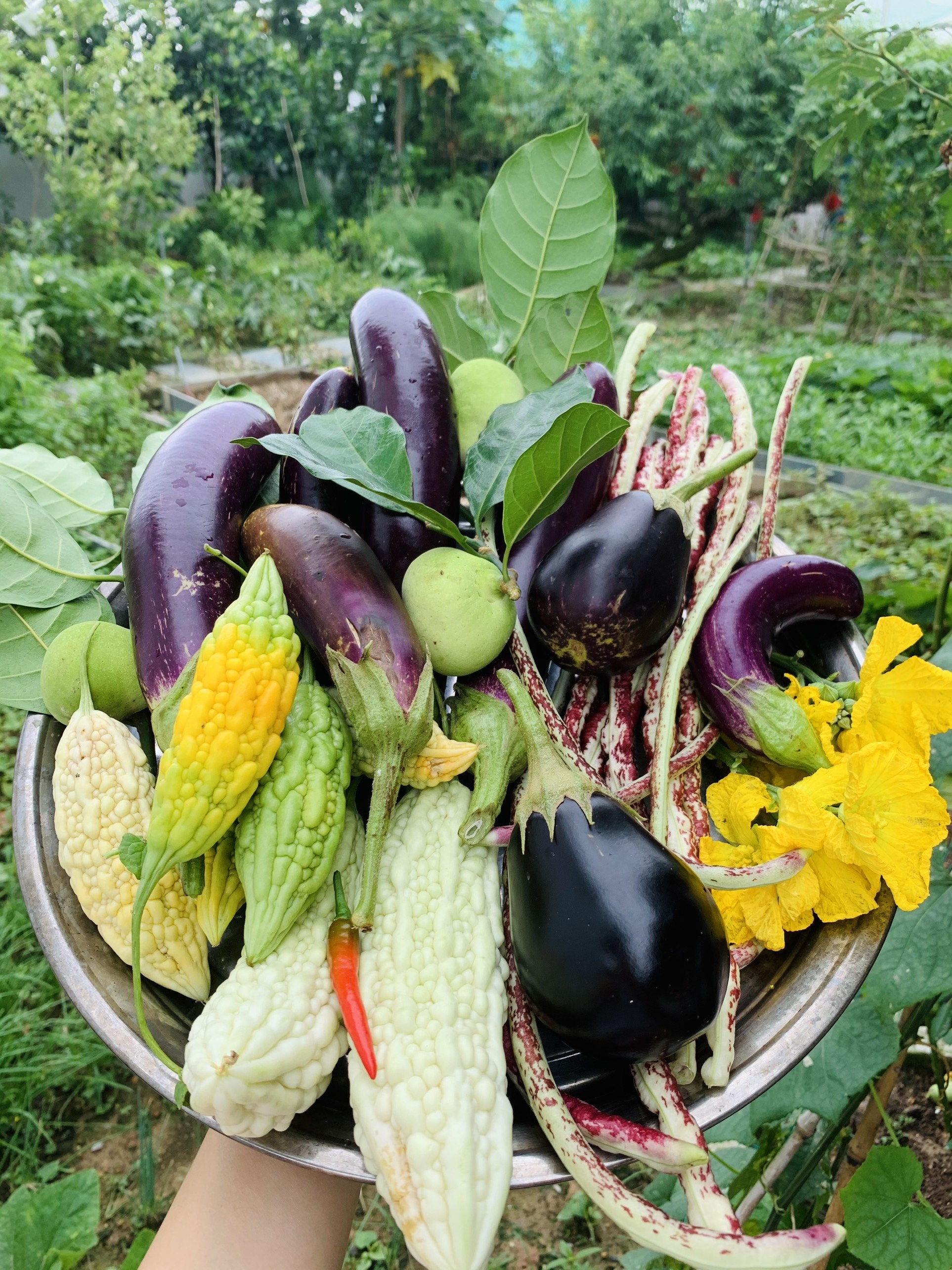 Ba me 4 con cai tao manh dat 300 m2 thanh khu vuon tuoi tot anh 4