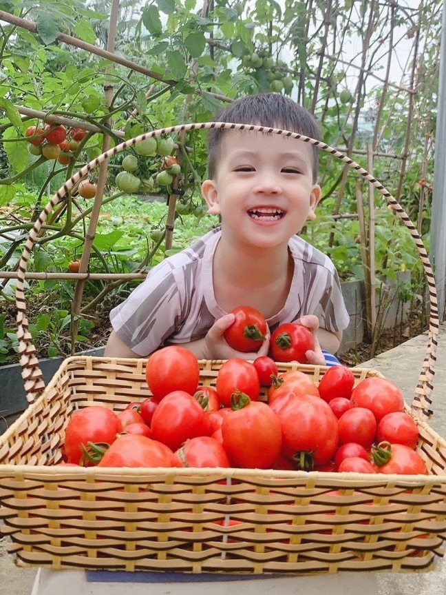 Ba me 4 con cai tao manh dat 300 m2 thanh khu vuon tuoi tot anh 10