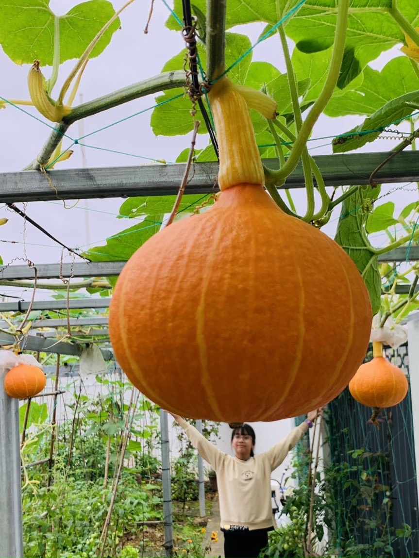 Ba me 4 con cai tao manh dat 300 m2 thanh khu vuon tuoi tot anh 9