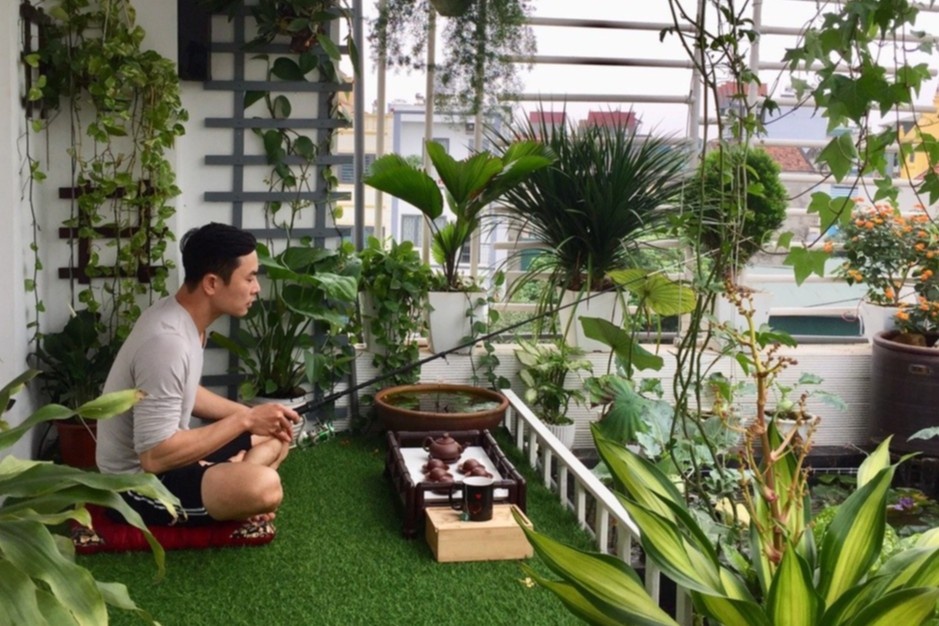 Ong bo cau ca, trong rau tren san thuong khi o nha tranh dich hinh anh