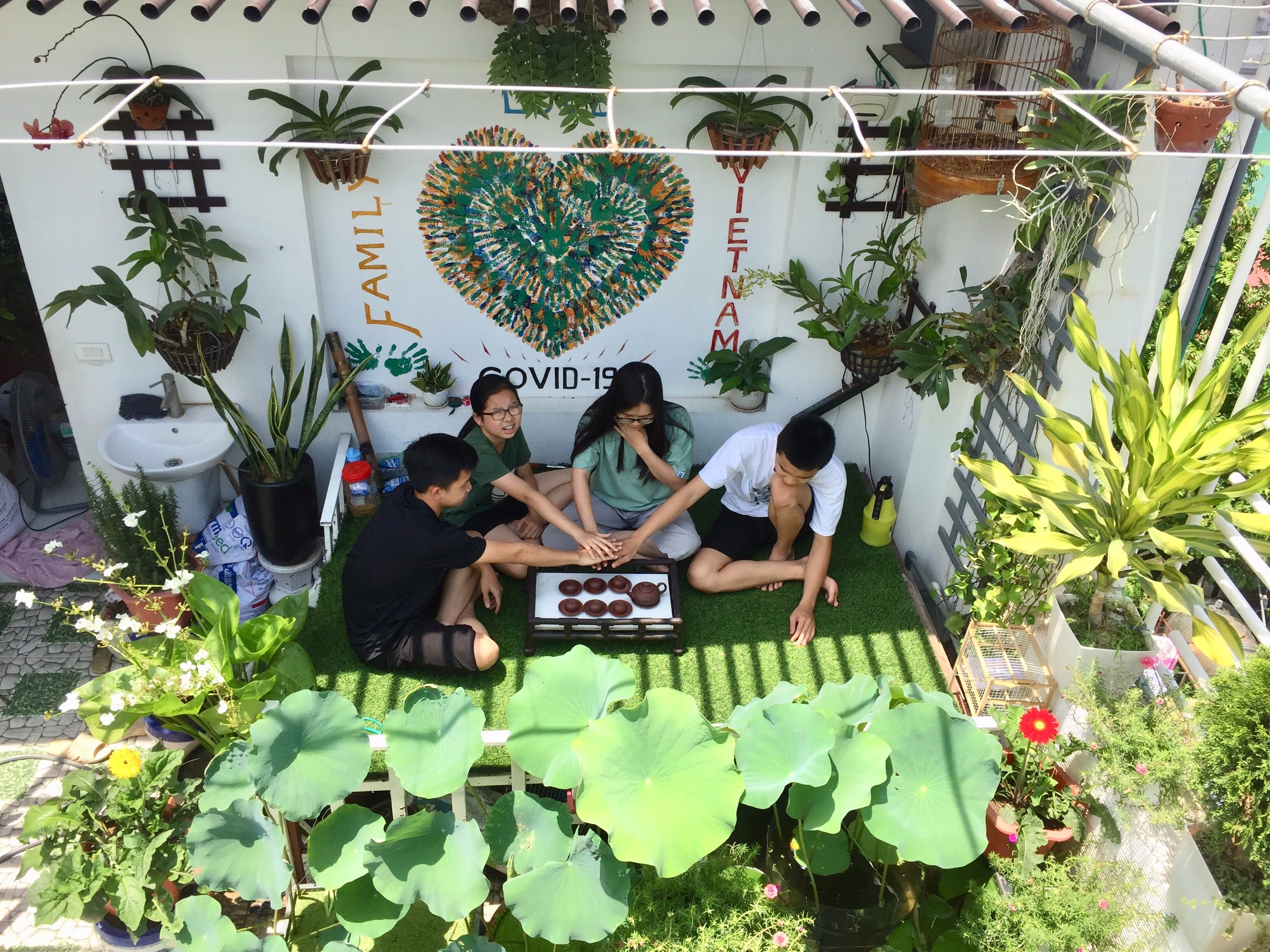 Ong bo o Ha Noi nuoi ca trong rau tren san thuong anh 7