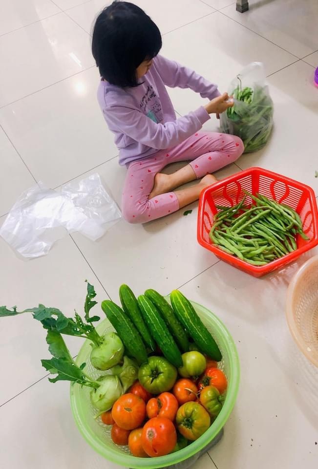 Hái rau củ trên sân thượng tặng hàng xóm  ảnh 3 Hai rau cu tren san thuong tang hang xom anh 3