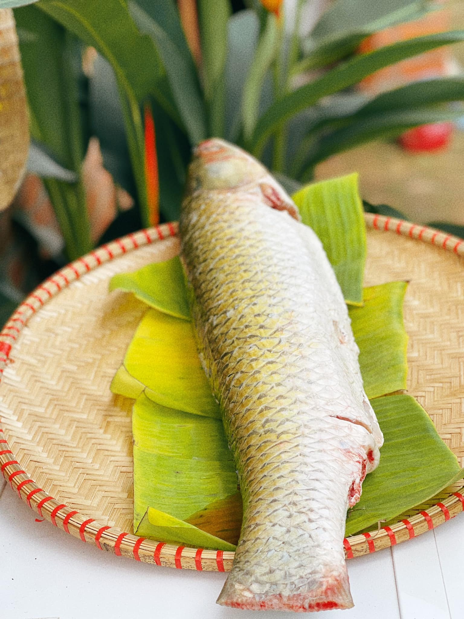 Cha mẹ và 3 con rời thành phố tránh dịch ở ngôi nhà trên đồi ảnh 6 Cha me va 3 con roi thanh pho tranh dich o ngoi nha tren doi anh 6