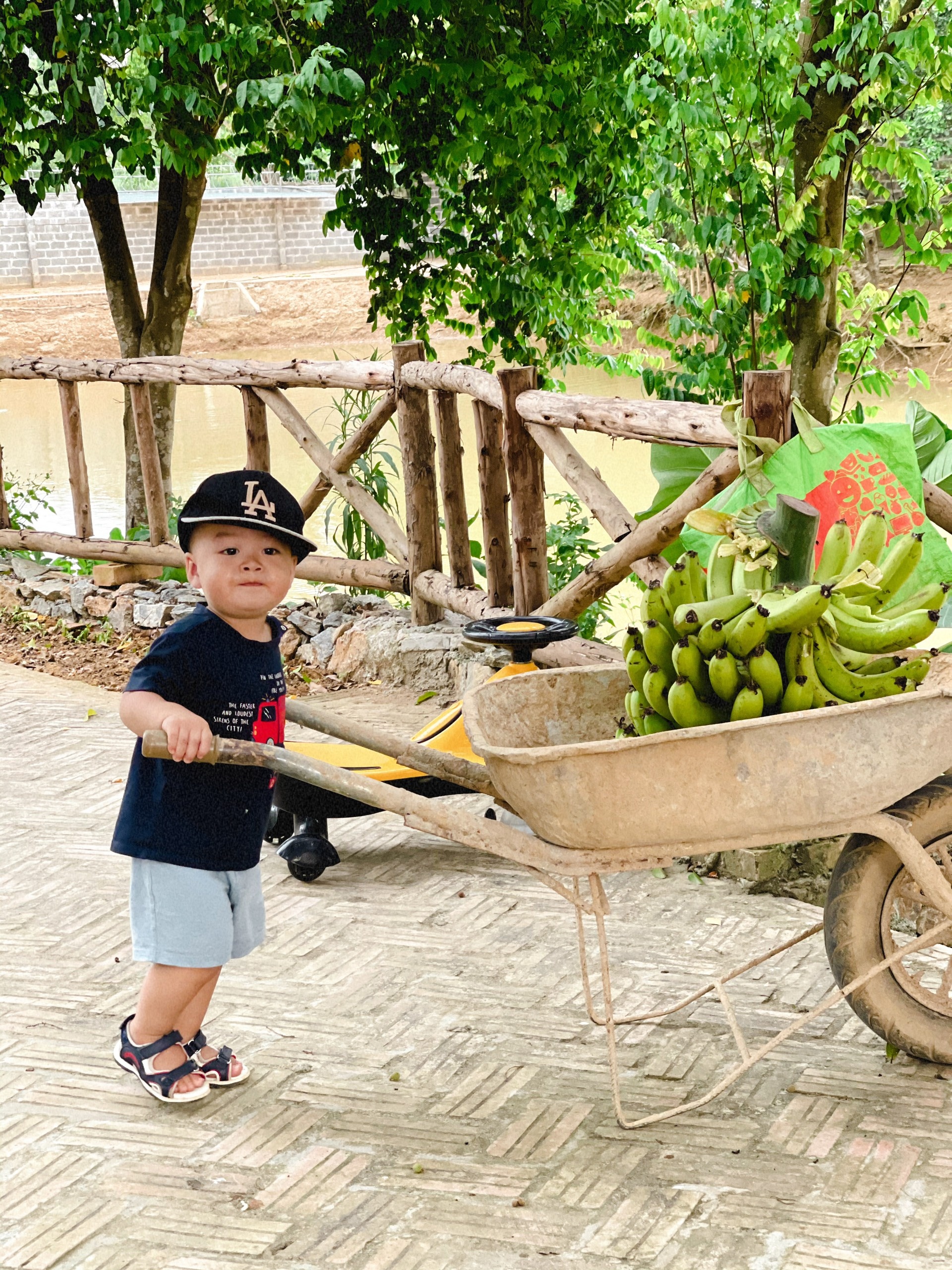 Cha mẹ và 3 con rời thành phố tránh dịch ở ngôi nhà trên đồi ảnh 14 Cha me va 3 con roi thanh pho tranh dich o ngoi nha tren doi anh 14