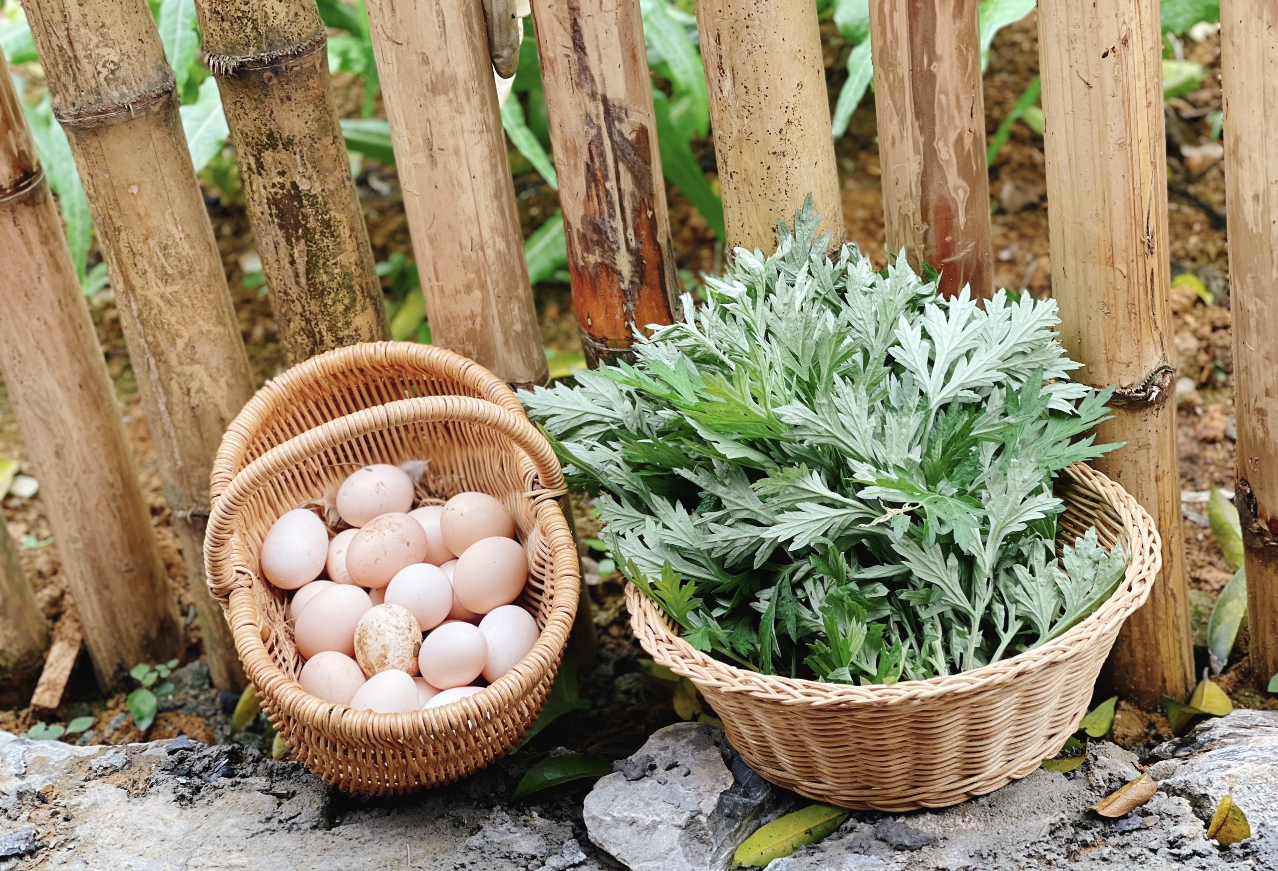 Cha mẹ và 3 con rời thành phố tránh dịch ở ngôi nhà trên đồi ảnh 13 Cha me va 3 con roi thanh pho tranh dich o ngoi nha tren doi anh 13