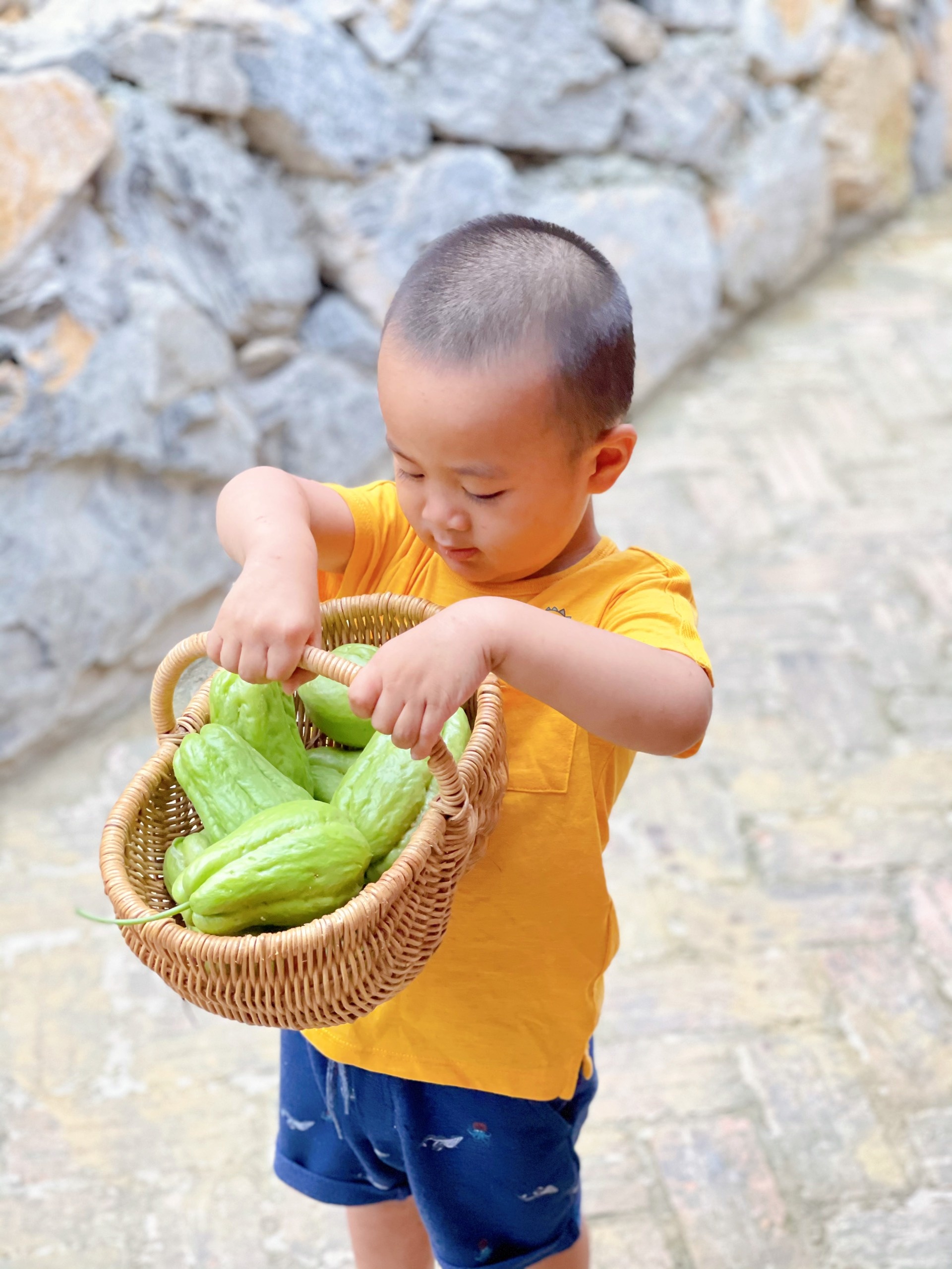 Cha mẹ và 3 con rời thành phố tránh dịch ở ngôi nhà trên đồi ảnh 15 Cha me va 3 con roi thanh pho tranh dich o ngoi nha tren doi anh 15