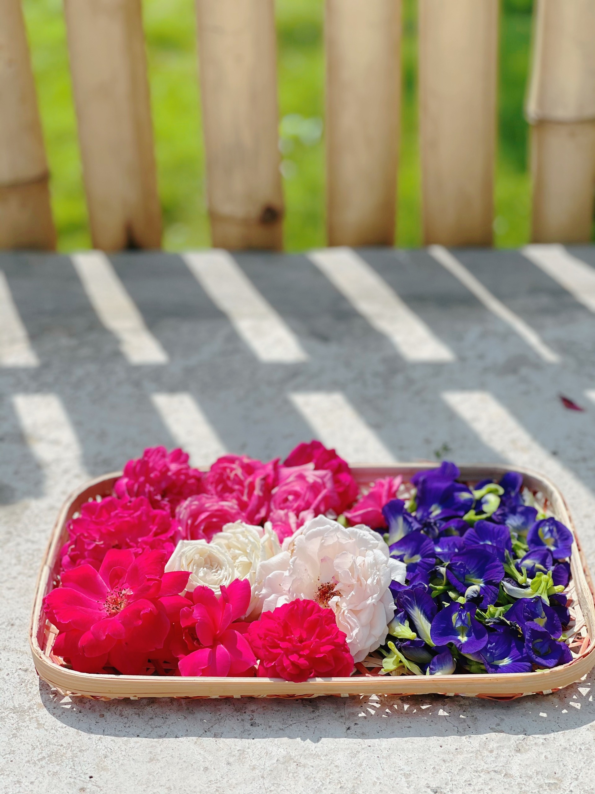 Cha mẹ và 3 con rời thành phố tránh dịch ở ngôi nhà trên đồi ảnh 12 Cha me va 3 con roi thanh pho tranh dich o ngoi nha tren doi anh 12