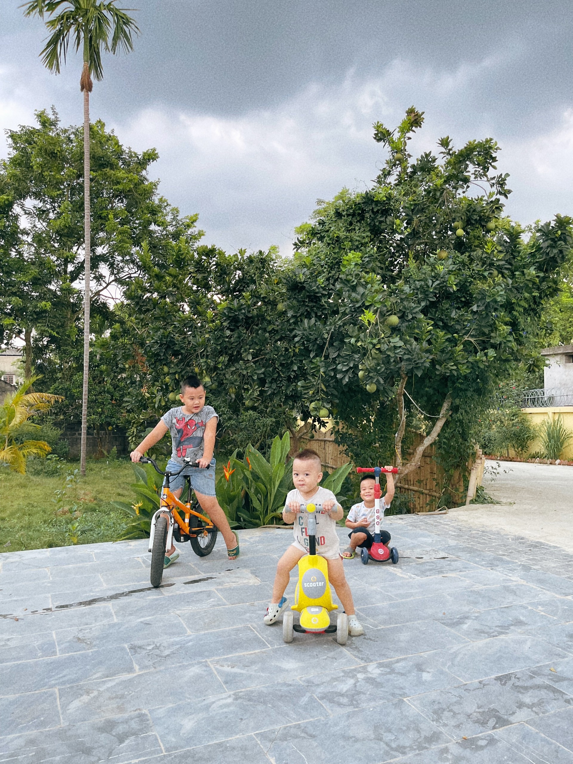 Cha mẹ và 3 con rời thành phố tránh dịch ở ngôi nhà trên đồi ảnh 16 Cha me va 3 con roi thanh pho tranh dich o ngoi nha tren doi anh 16