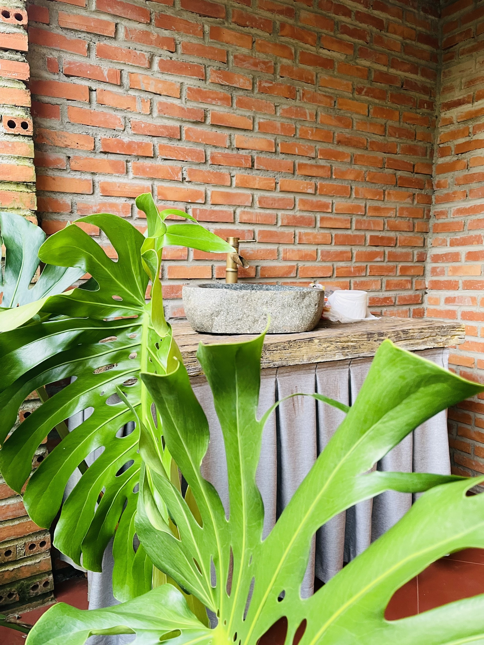 Người mẹ trẻ ở Đắk Lắk dựng nhà trồng rau trong dịch ảnh 13 Nguoi me tre o Dak Lak dung nha trong rau trong dich anh 13