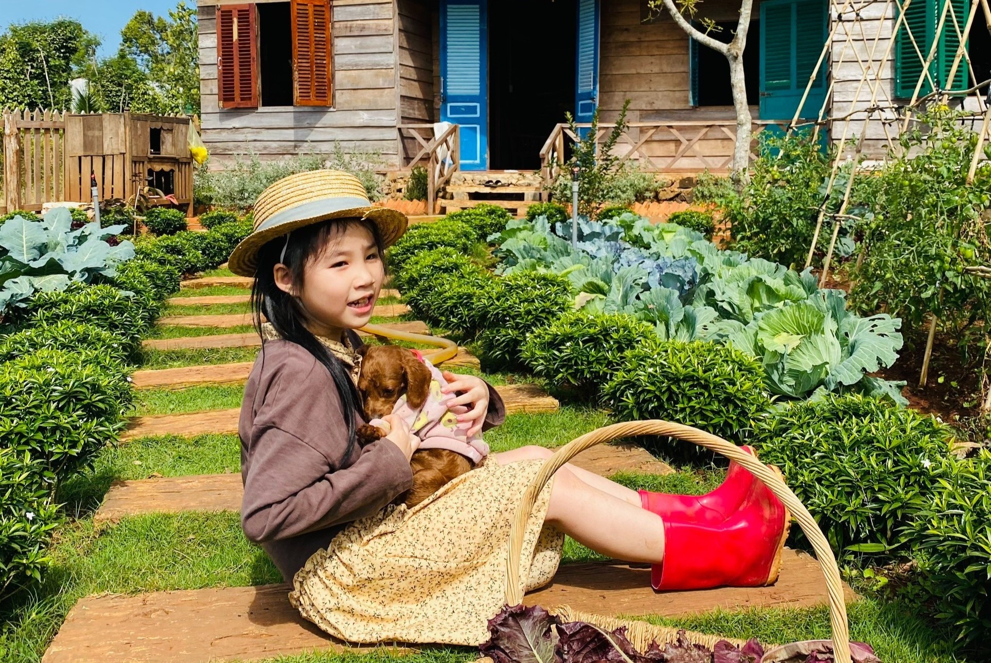 Nguoi me tre dung nha, trong rau de song cham trong dich hinh anh