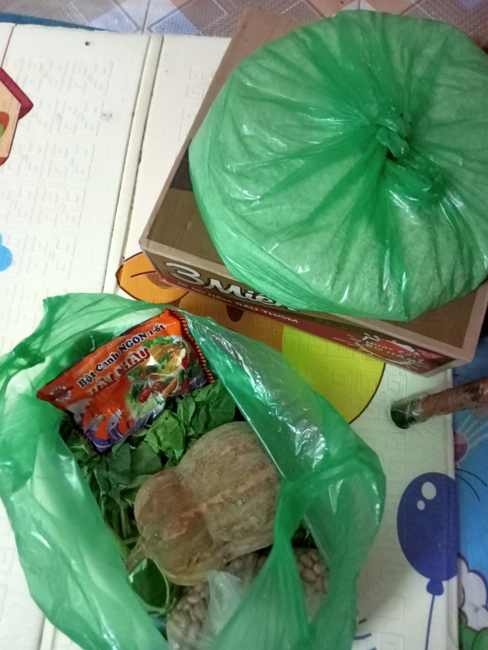 Cap vo chong Viet Nga o Ha Noi duoc giup do anh 6