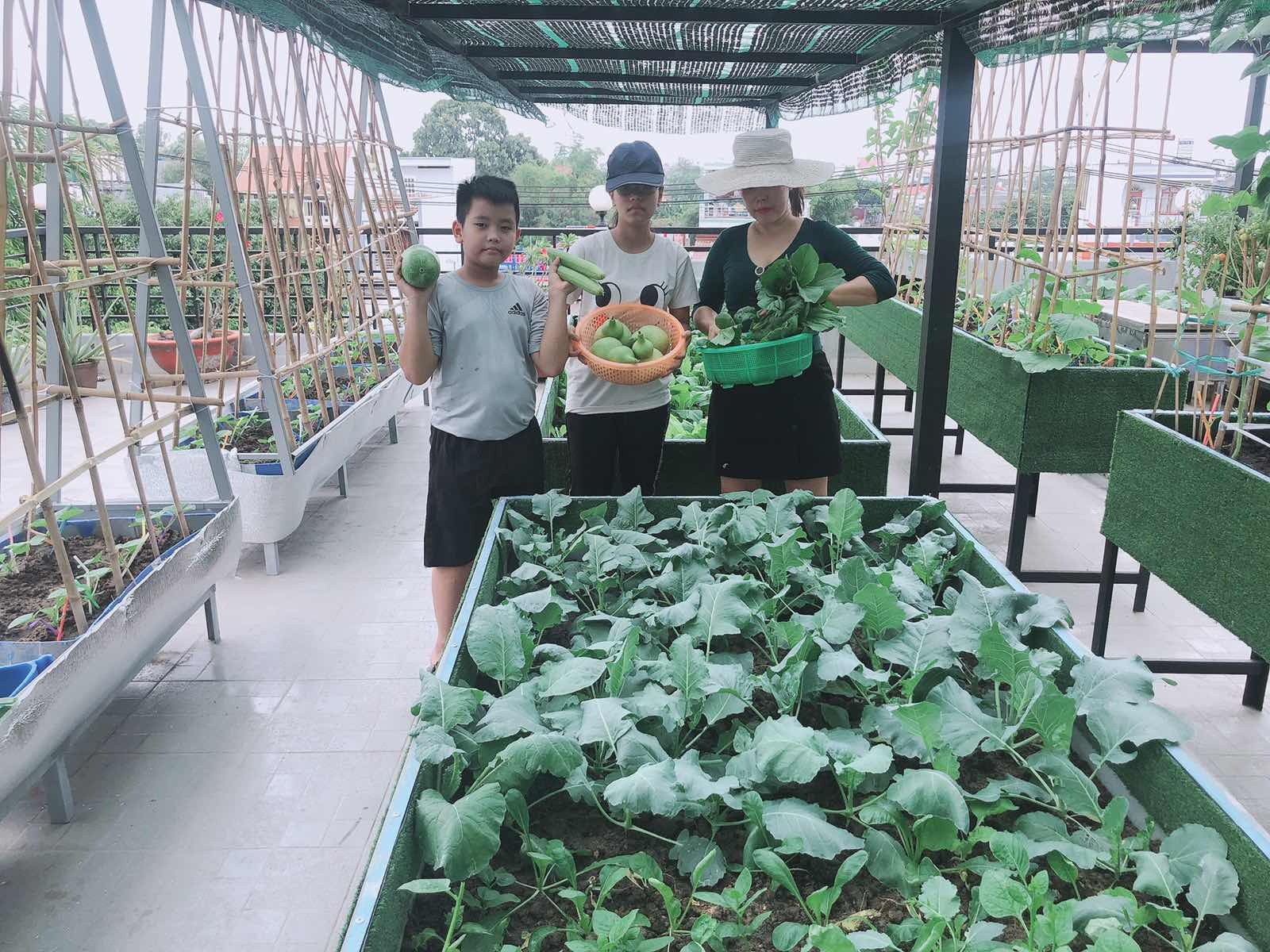 Nuôi gà trồng rau trên sân thượng khi ở nhà tránh dịch ảnh 4 Nuoi ga trong rau tren san thuong khi o nha tranh dich anh 4