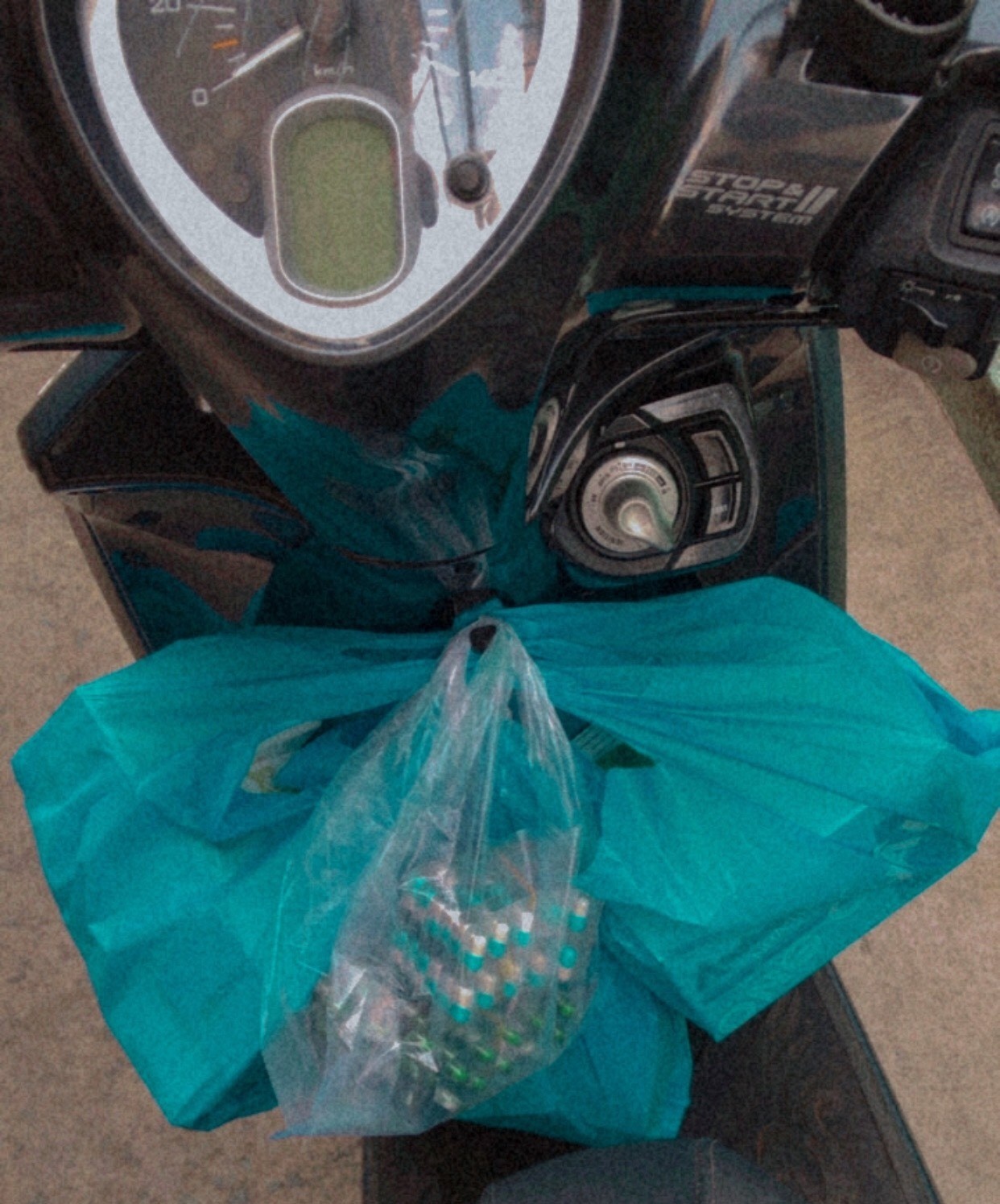 Gia dinh co 12 F0 anh 2