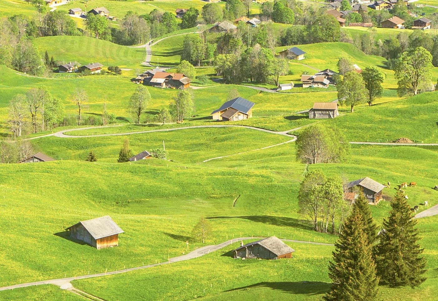 Kẹt ở Cao Bằng 2 tháng vì dịch ảnh 14 Ket o Cao Bang 2 thang vi dich anh 14