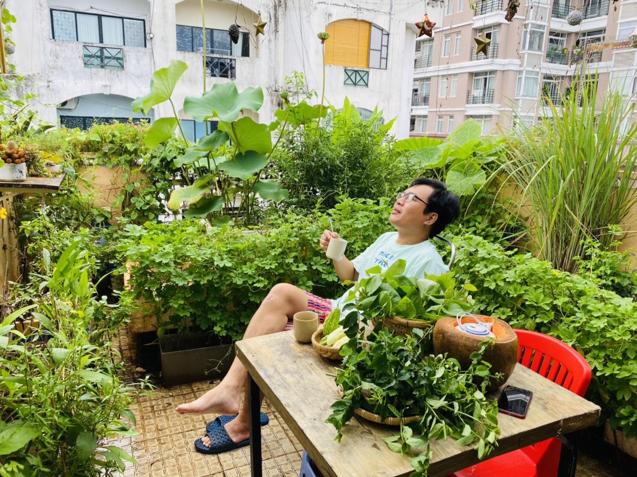 Trồng rau trên sân thượng ảnh 13 Trong rau tren san thuong anh 13