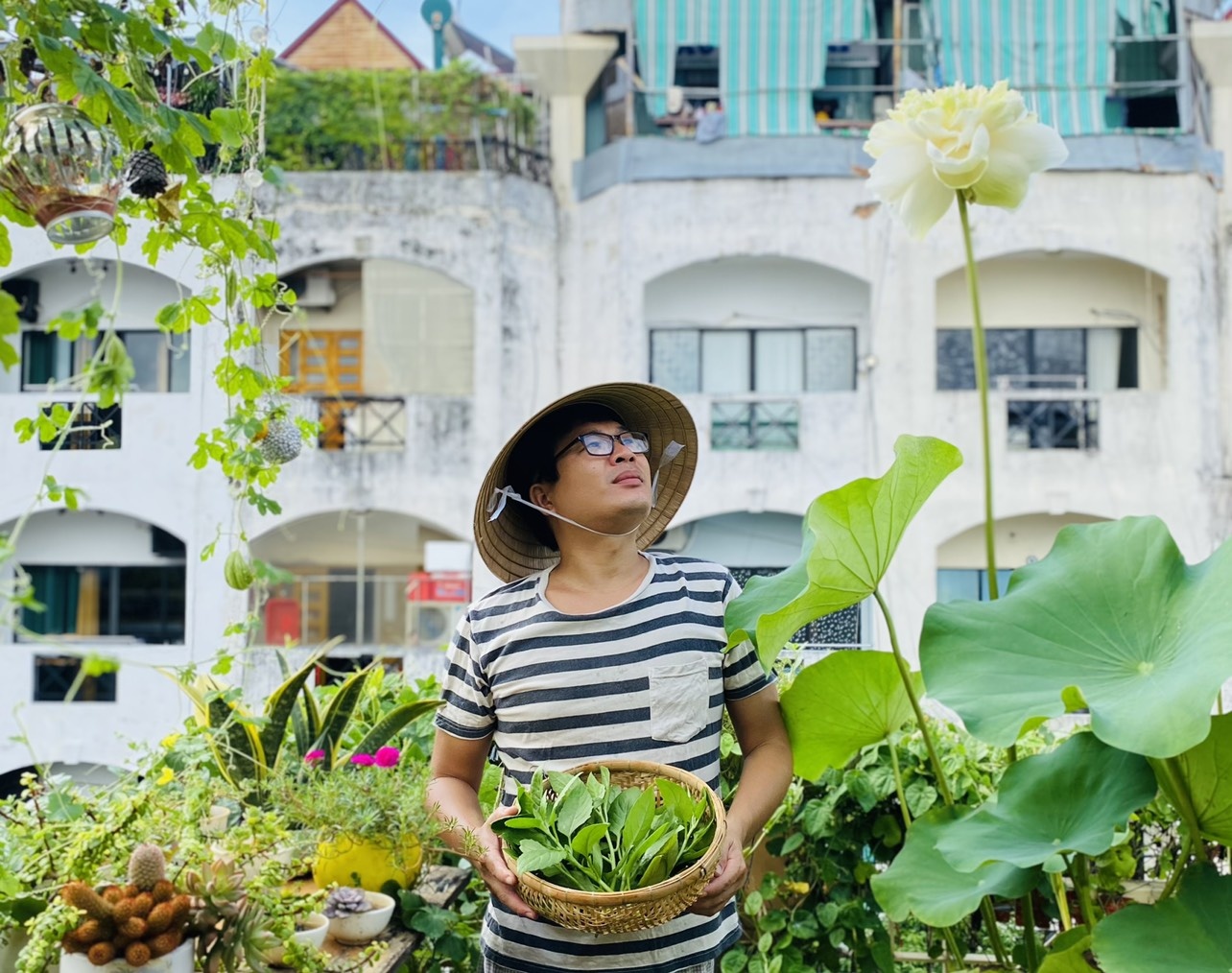 Trồng rau trên sân thượng ảnh 1 Trong rau tren san thuong anh 1