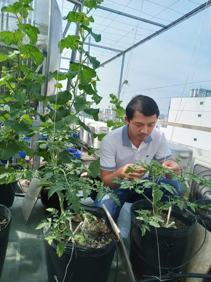 Vườn trái cây trên sân thượng ảnh 11 Vuon trai cay tren san thuong anh 11