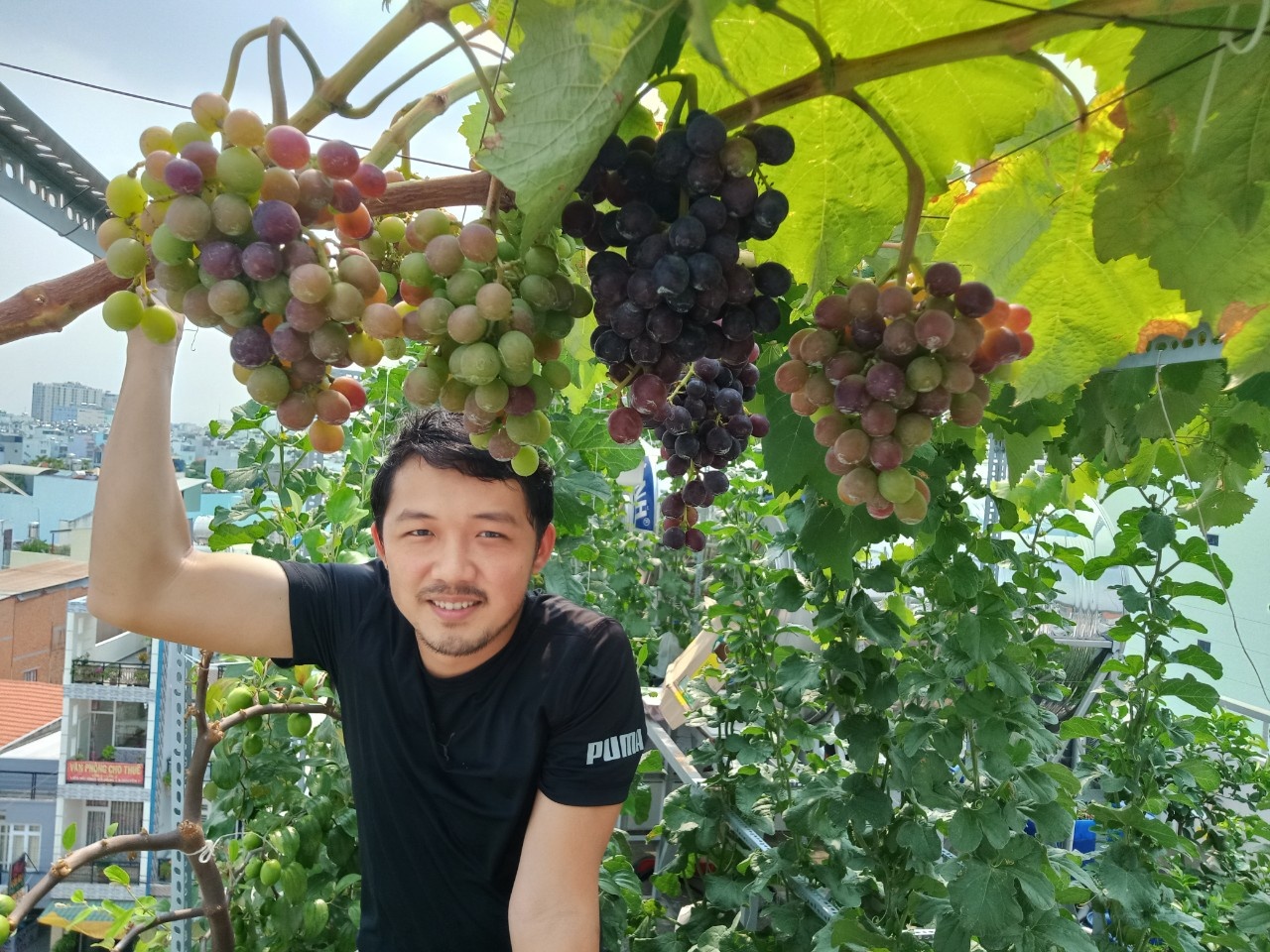 Nguoi dan ong o TP.HCM trong mia, oi, dua luoi tren san thuong hinh anh