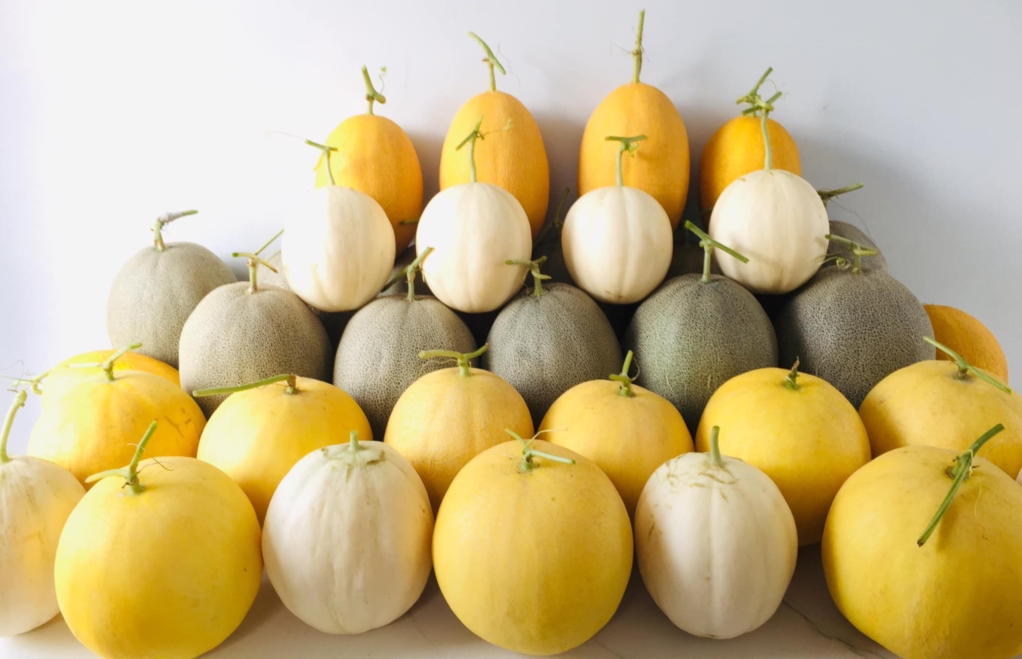 Khu vườn trên sân thượng ảnh 11 Khu vuon tren san thuong anh 11