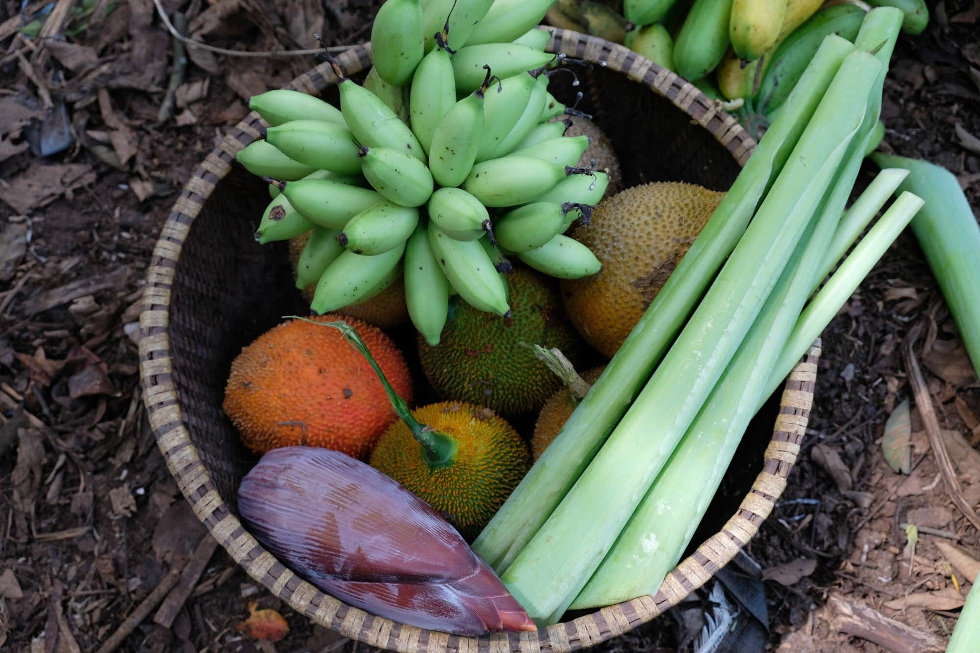 Chồng xây nhà giữa đồi giúp vợ chữa ung thư ảnh 7 Chong xay nha giua doi giup vo chua ung thu anh 7