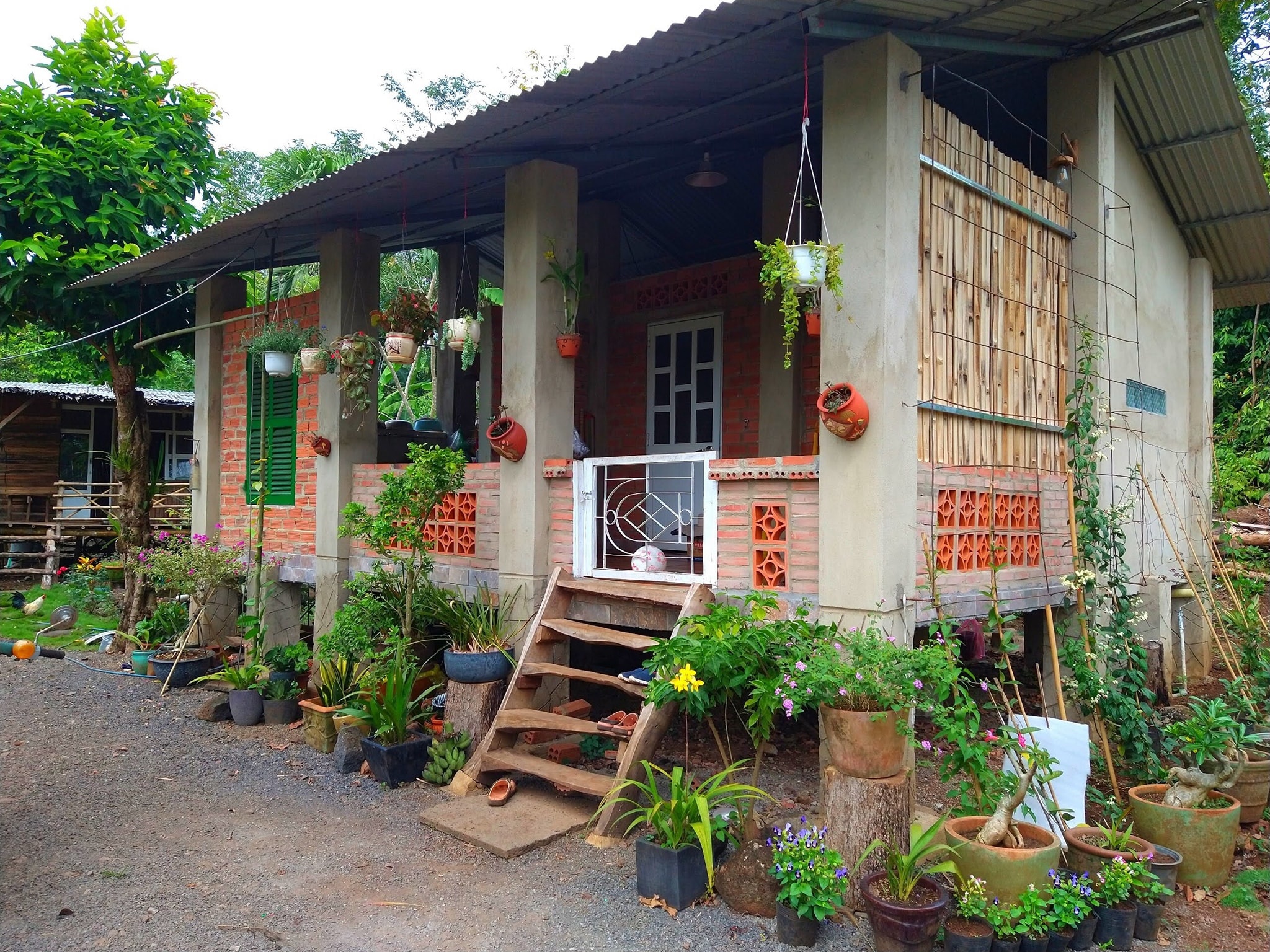 Chồng xây nhà giữa đồi giúp vợ chữa ung thư ảnh 3 Chong xay nha giua doi giup vo chua ung thu anh 3