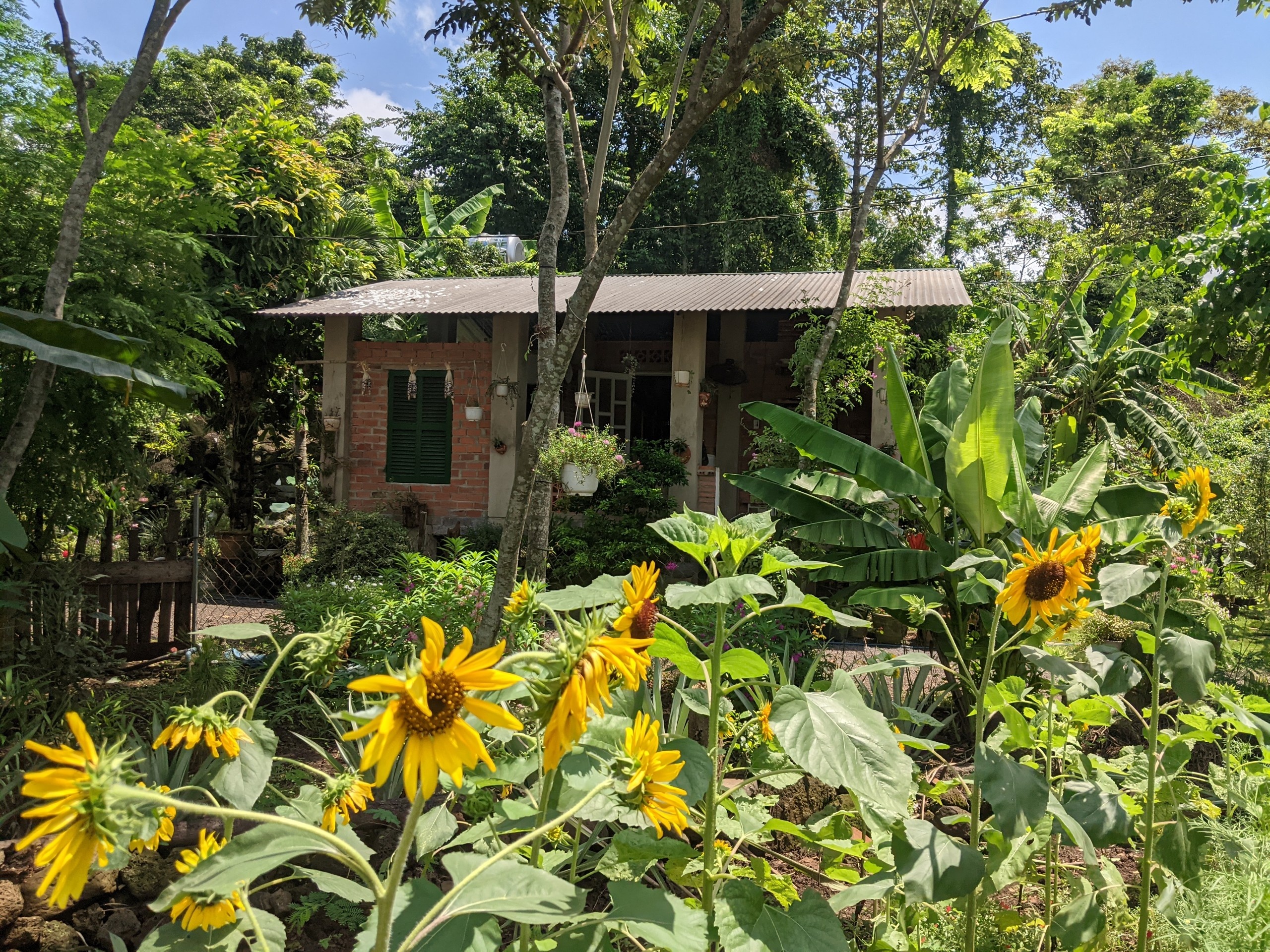 Chồng xây nhà giữa đồi giúp vợ chữa ung thư ảnh 2 Chong xay nha giua doi giup vo chua ung thu anh 2