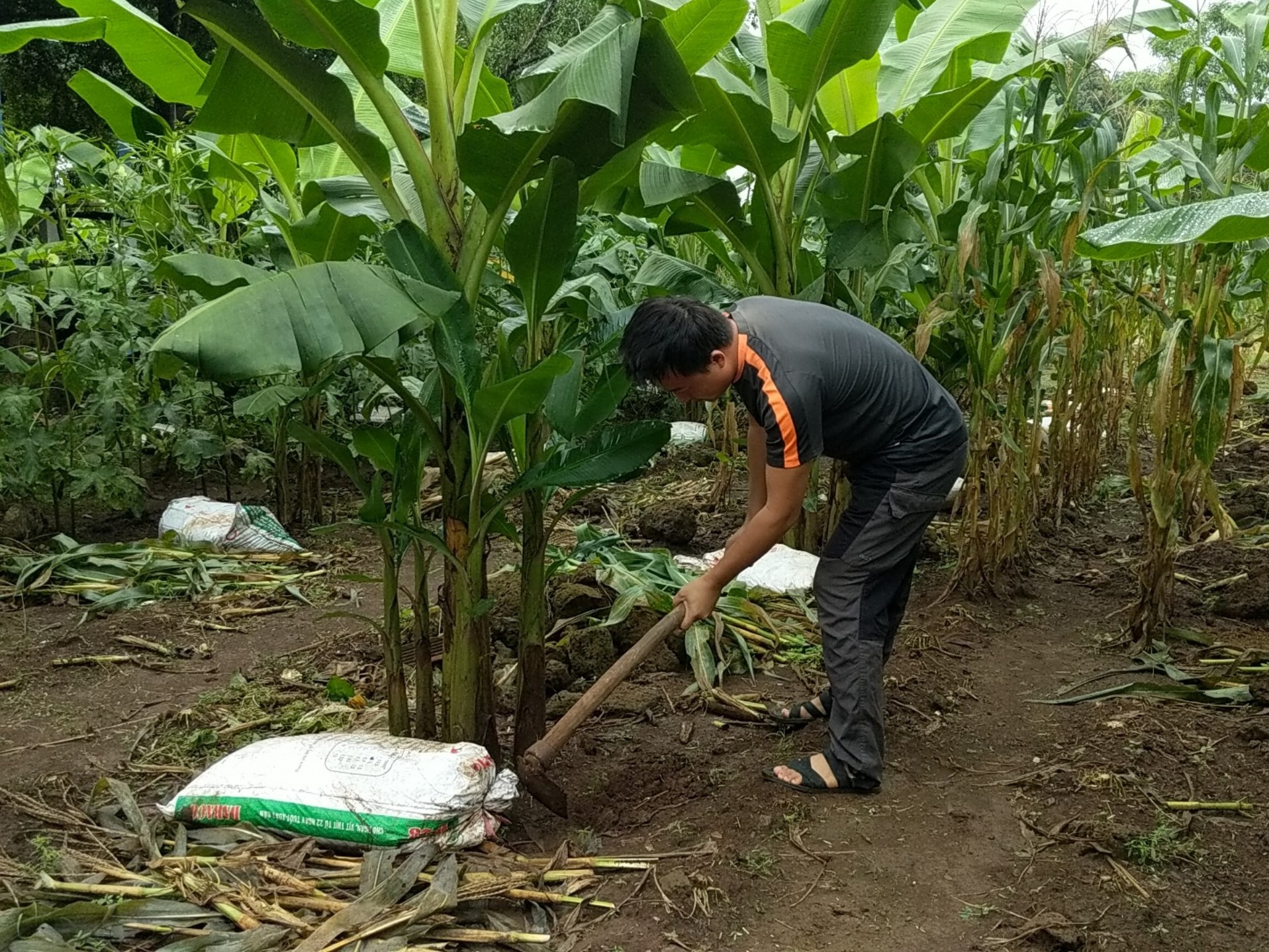 Chồng xây nhà giữa đồi giúp vợ chữa ung thư ảnh 4 Chong xay nha giua doi giup vo chua ung thu anh 4