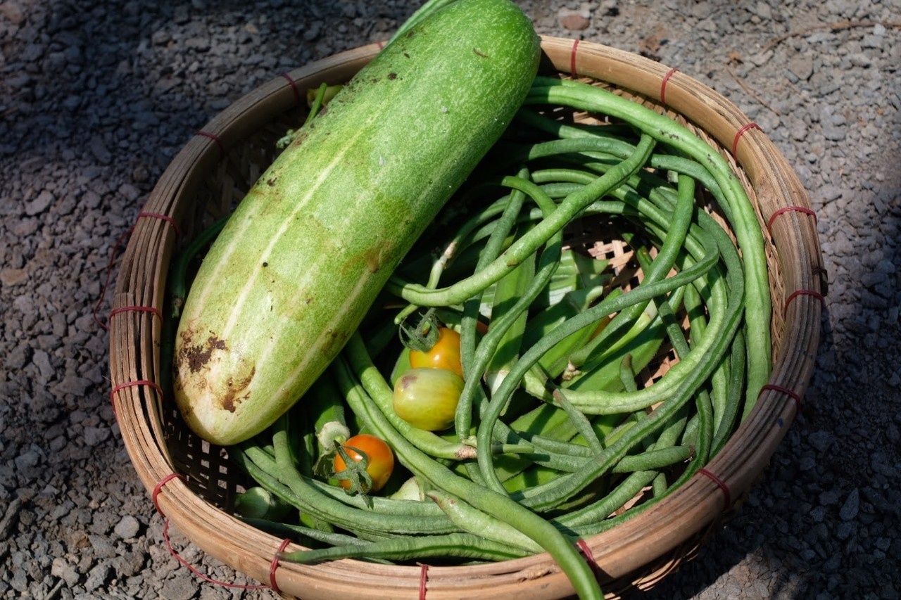 Chồng xây nhà giữa đồi giúp vợ chữa ung thư ảnh 6 Chong xay nha giua doi giup vo chua ung thu anh 6