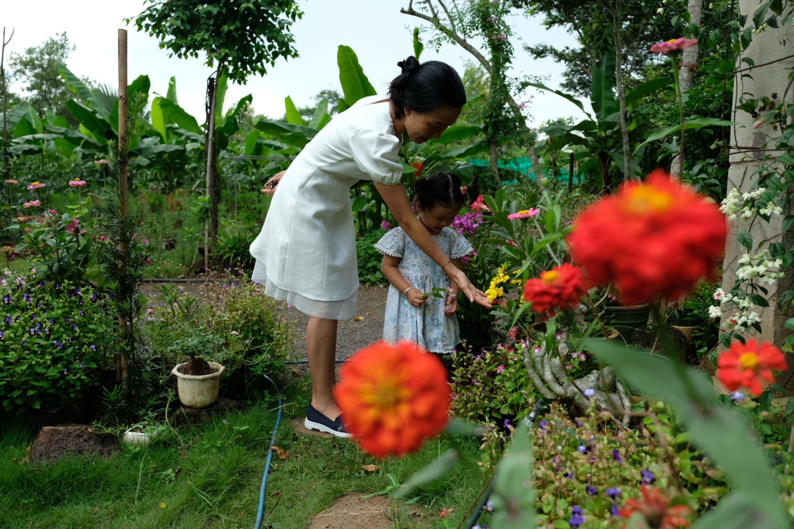 Chồng xây nhà giữa đồi giúp vợ chữa ung thư ảnh 9 Chong xay nha giua doi giup vo chua ung thu anh 9