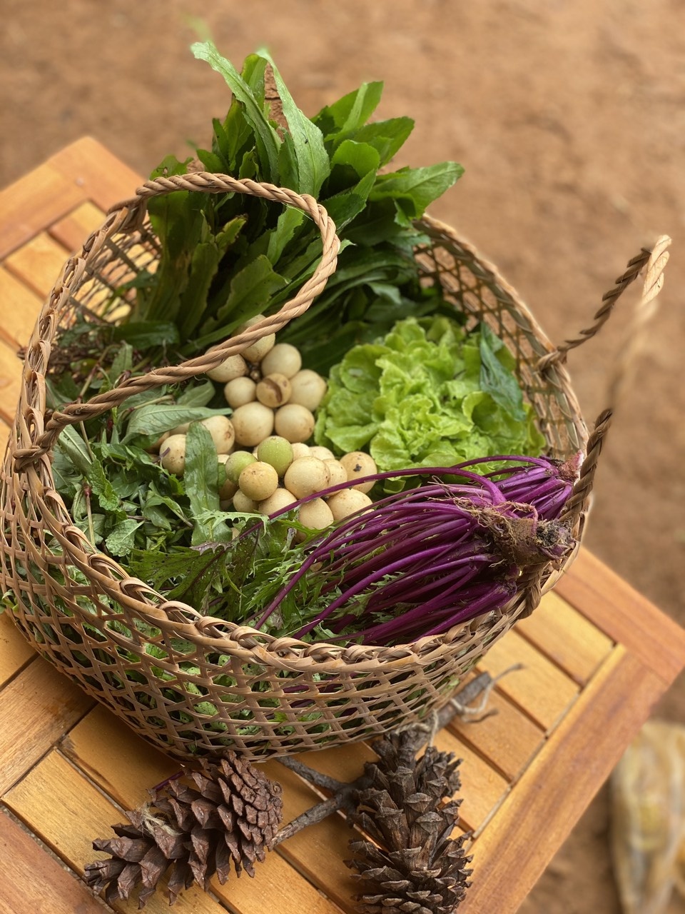 Vuon rau mua dich anh 6