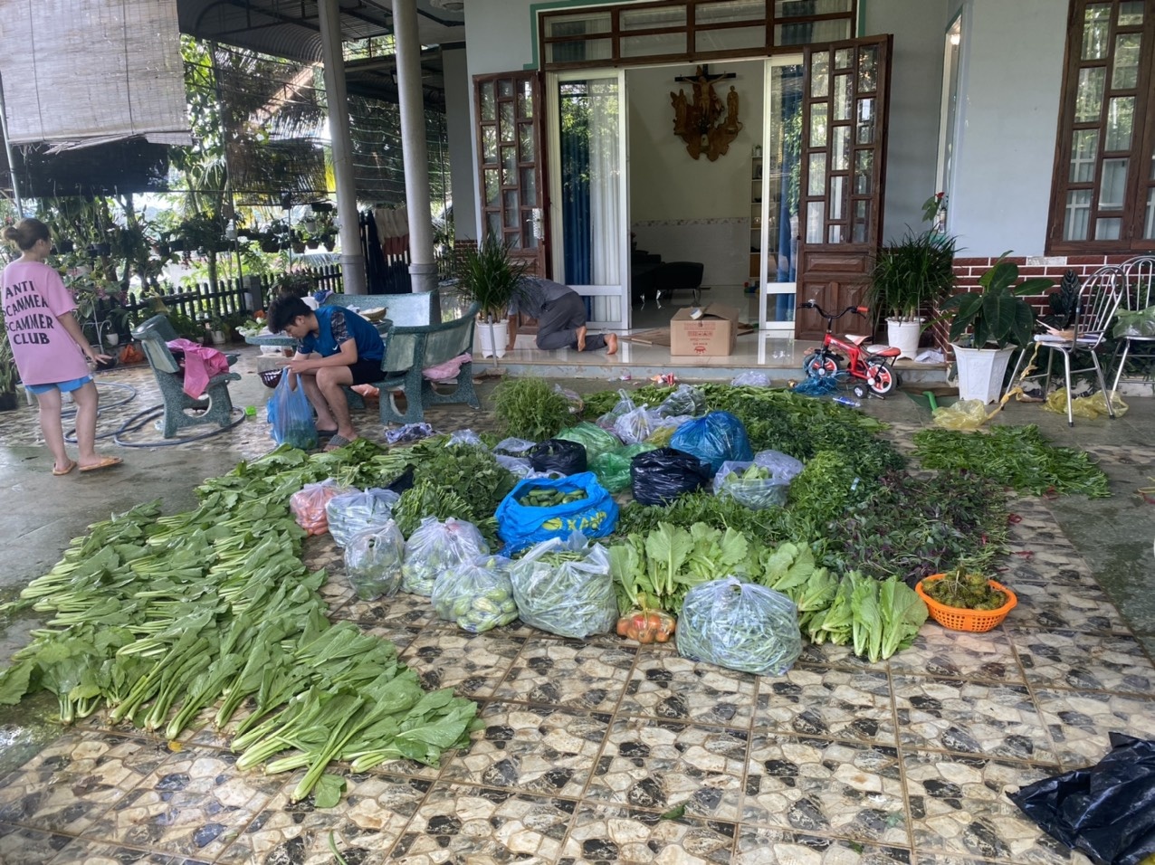 Vuon rau mua dich anh 1