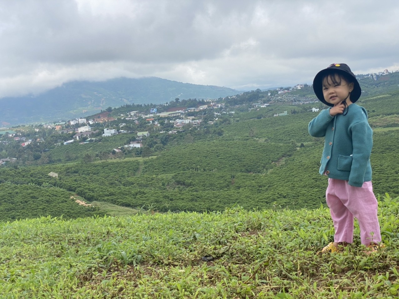 Vuon rau mua dich anh 10