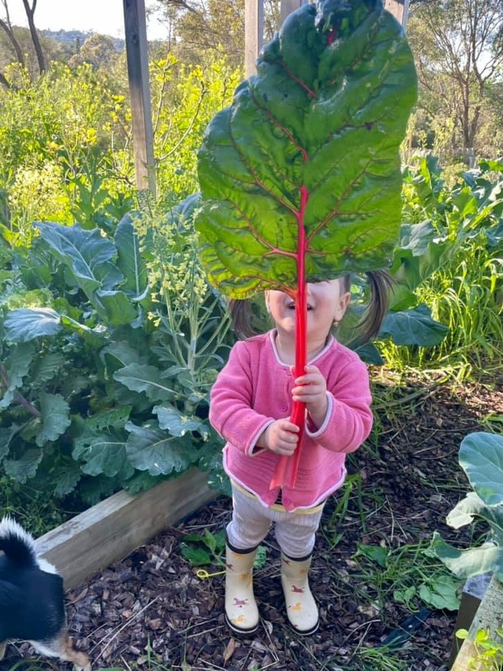 Nguoi me Viet o Australia trong cay trai khong lo anh 4