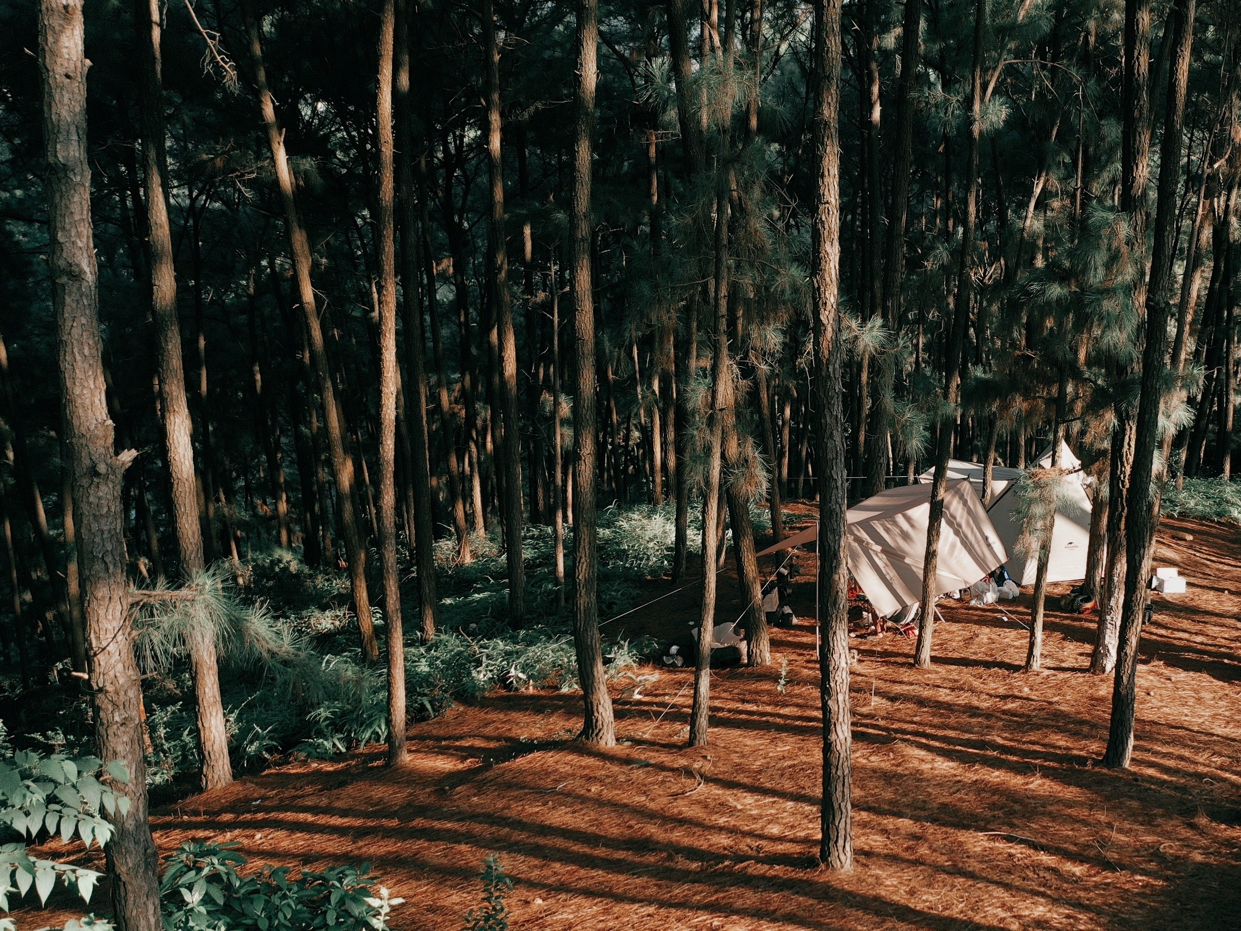 Người Hà Nội đi cắm trại trở lại sau 2 tháng giãn cách ảnh 5 Nguoi Ha Noi di cam trai tro lai sau 2 thang gian cach anh 5